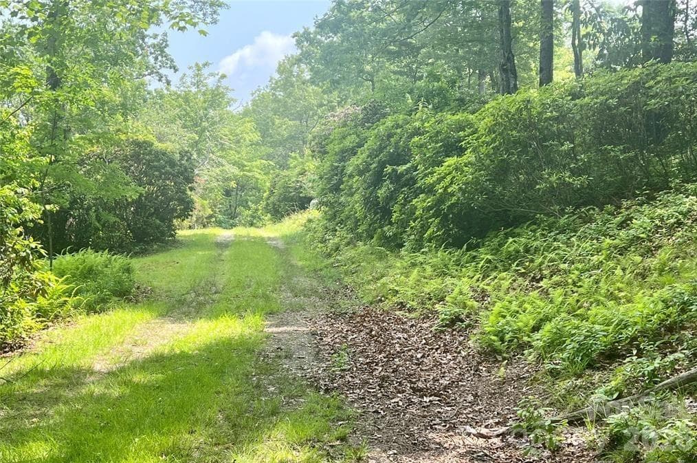 Lot at Lot 10 Joshua Road, Rosman, photo 3 of 38