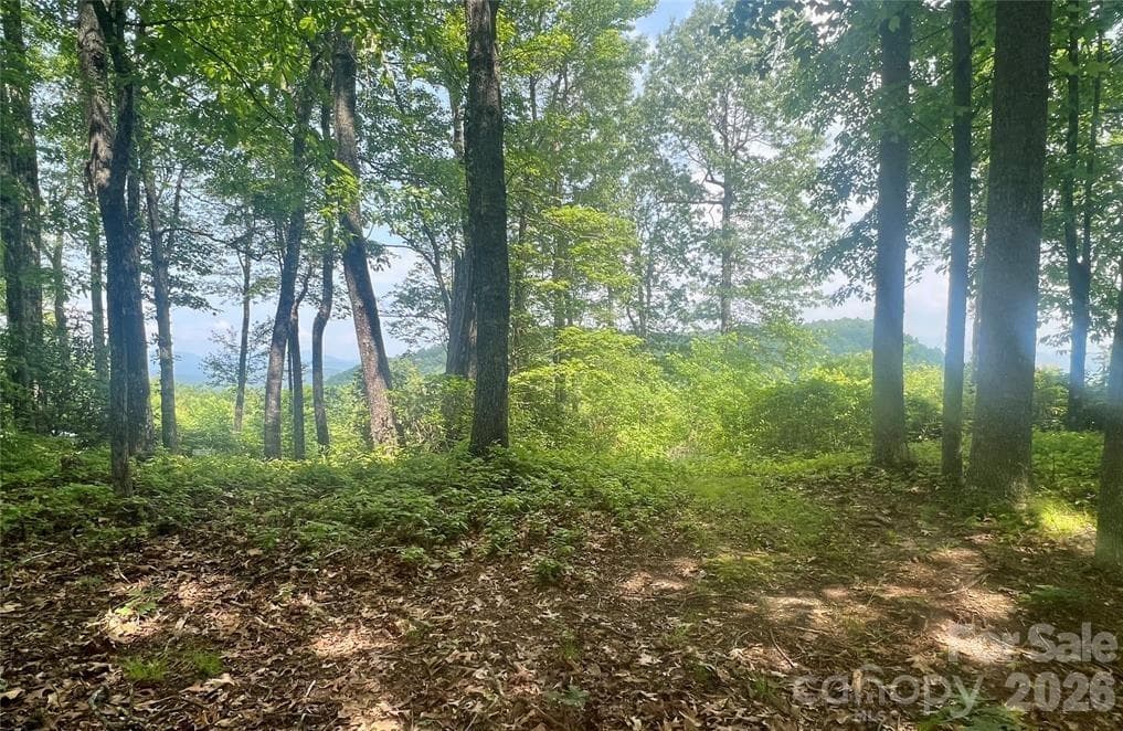 Lot at Lot 10 Joshua Road, Rosman, photo 4 of 38