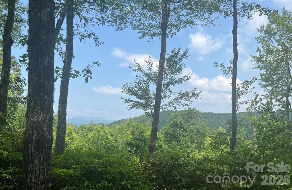 Lot at Lot 10 Joshua Road, Rosman, photo 6 of 38