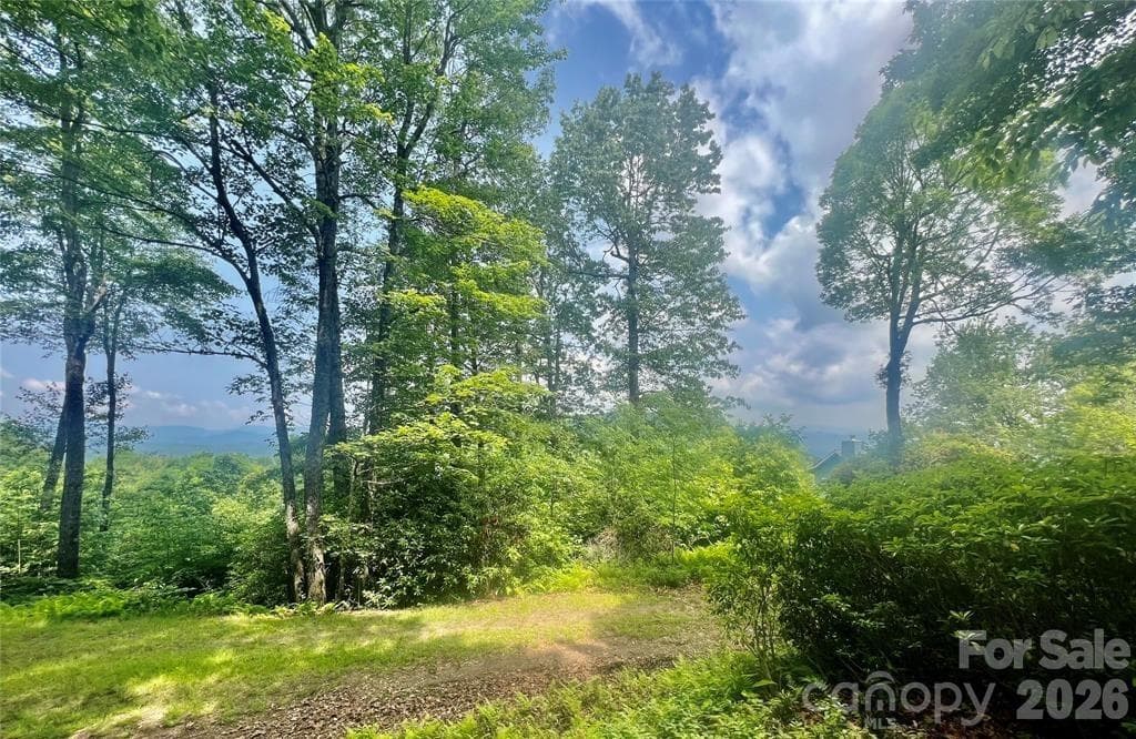 Lot at Lot 10 Joshua Road, Rosman, photo 9 of 38