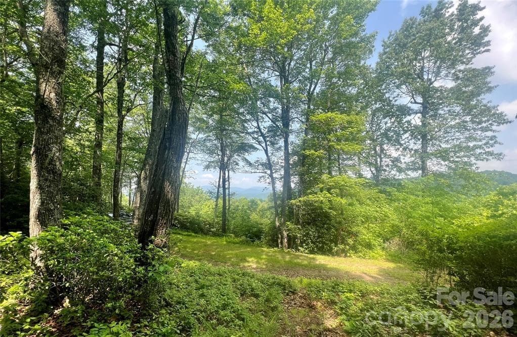 Lot at Lot 10 Joshua Road, Rosman, photo 10 of 38