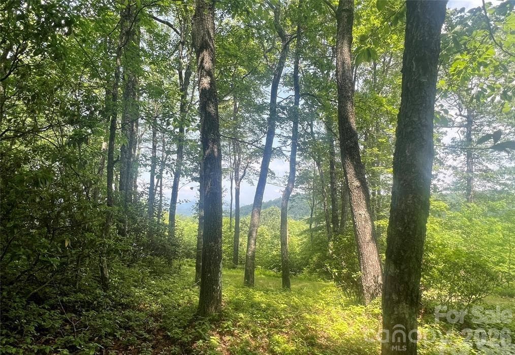 Lot at Lot 10 Joshua Road, Rosman, photo 11 of 38