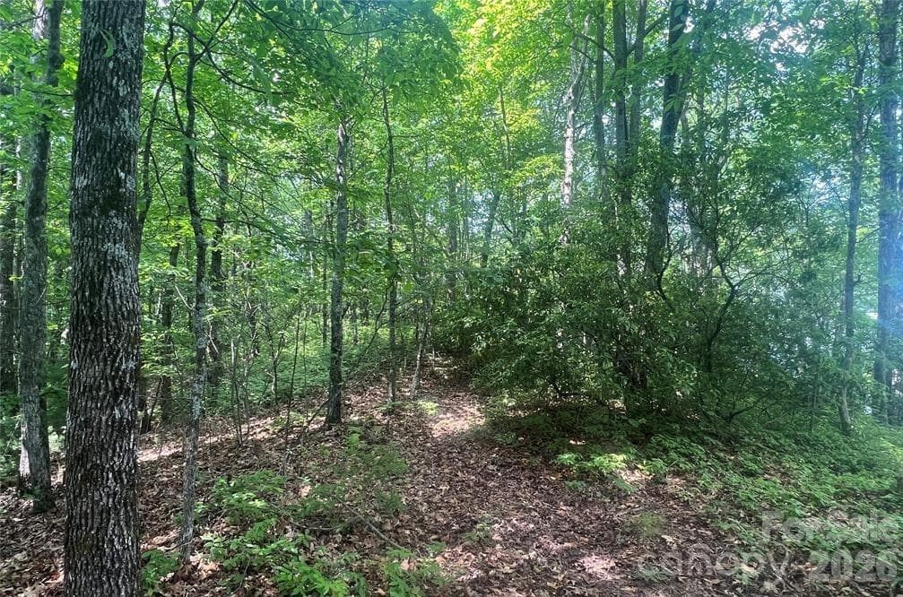 Lot at Lot 10 Joshua Road, Rosman, photo 12 of 38