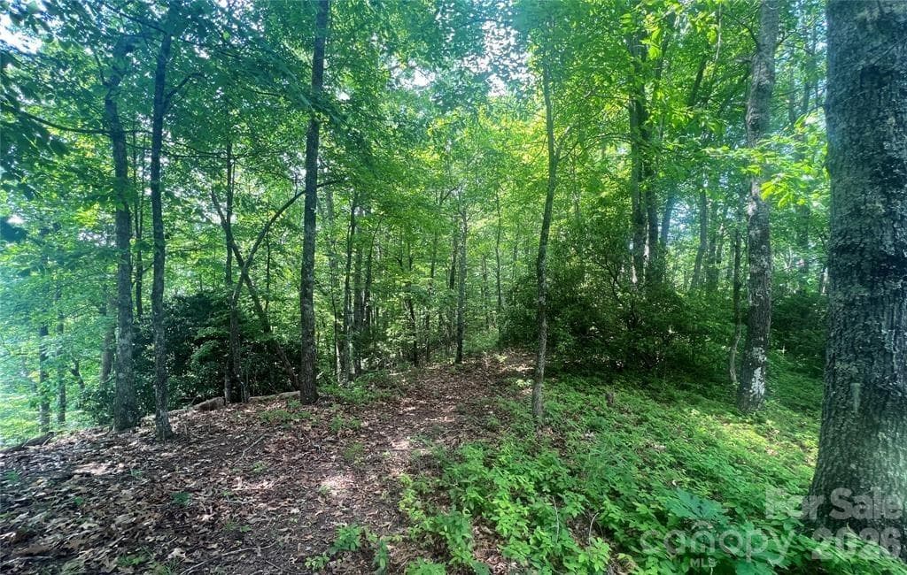 Lot at Lot 10 Joshua Road, Rosman, photo 14 of 38
