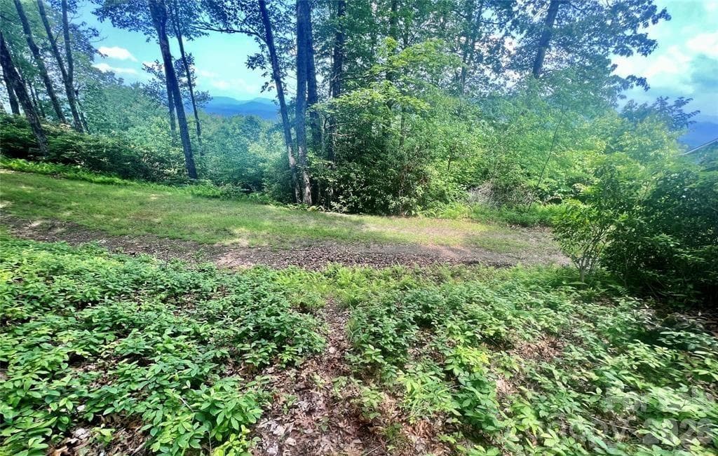 Lot at Lot 10 Joshua Road, Rosman, photo 15 of 38