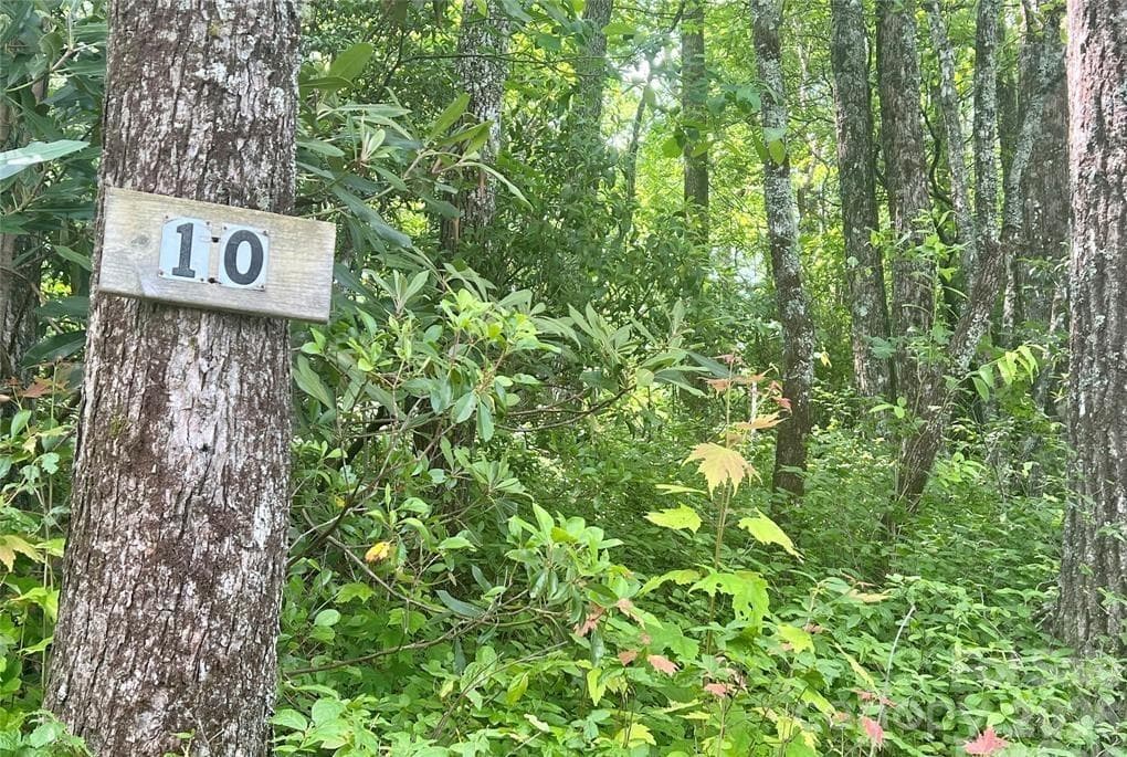 Lot at Lot 10 Joshua Road, Rosman, photo 16 of 38