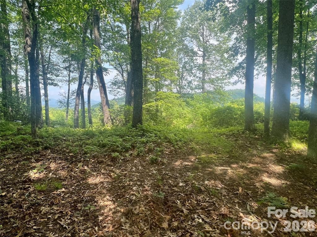 Lot at Lot 10 Joshua Road, Rosman, photo 17 of 38