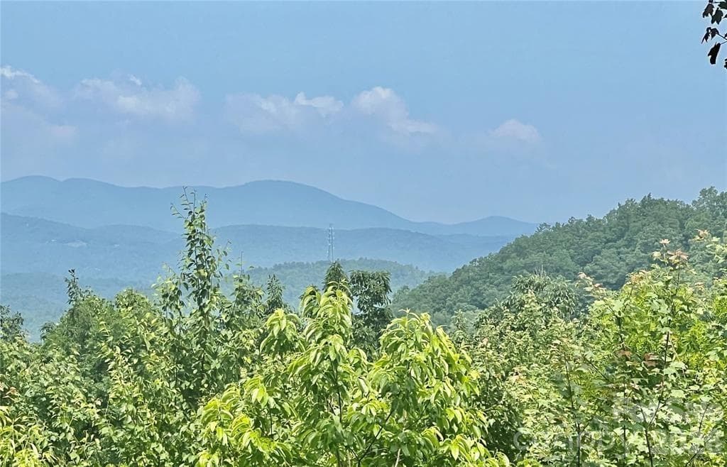 Lot at Lot 10 Joshua Road, Rosman, photo 18 of 38