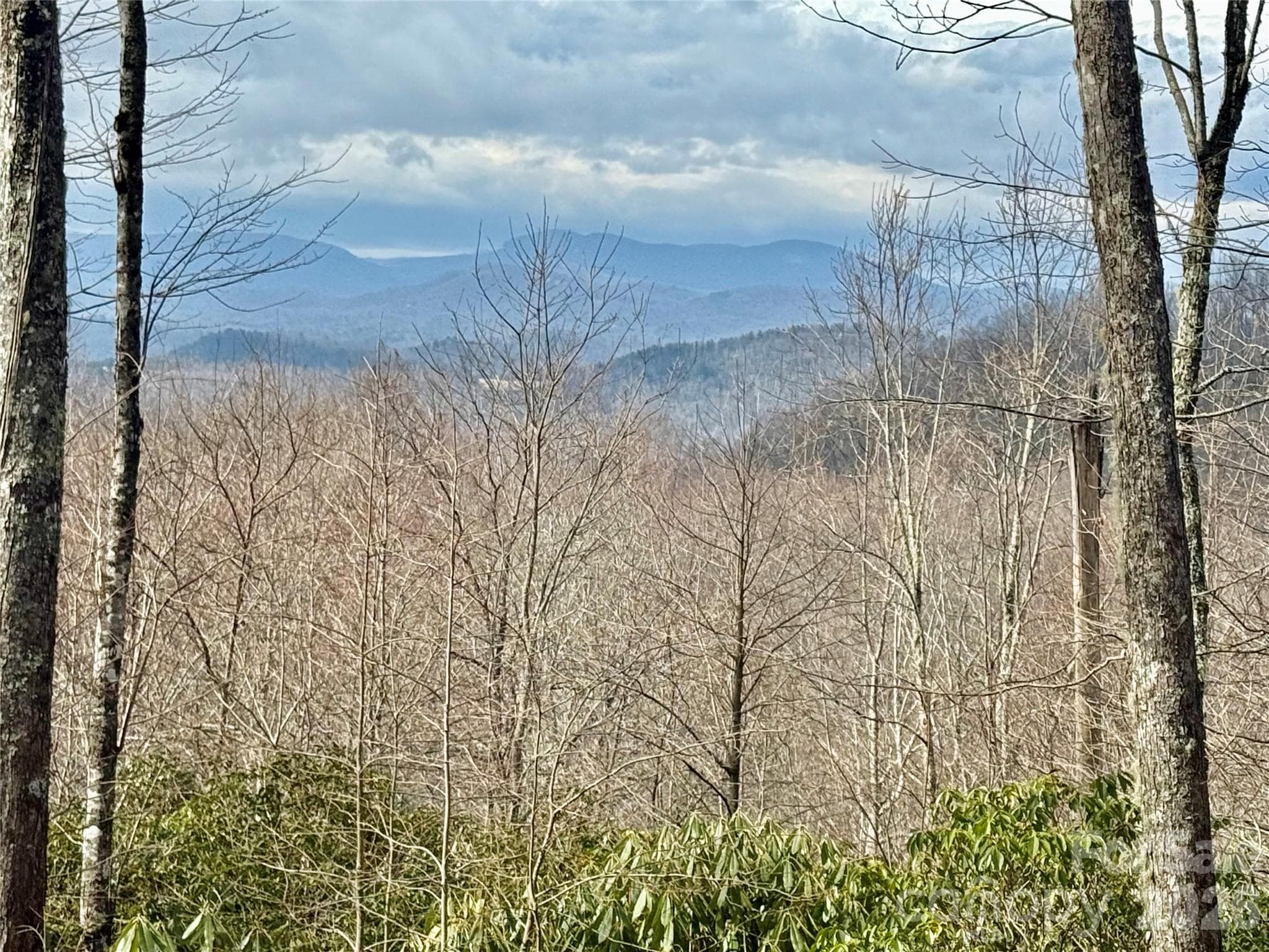 Lot at Lot 10 Joshua Road, Rosman, photo 21 of 38