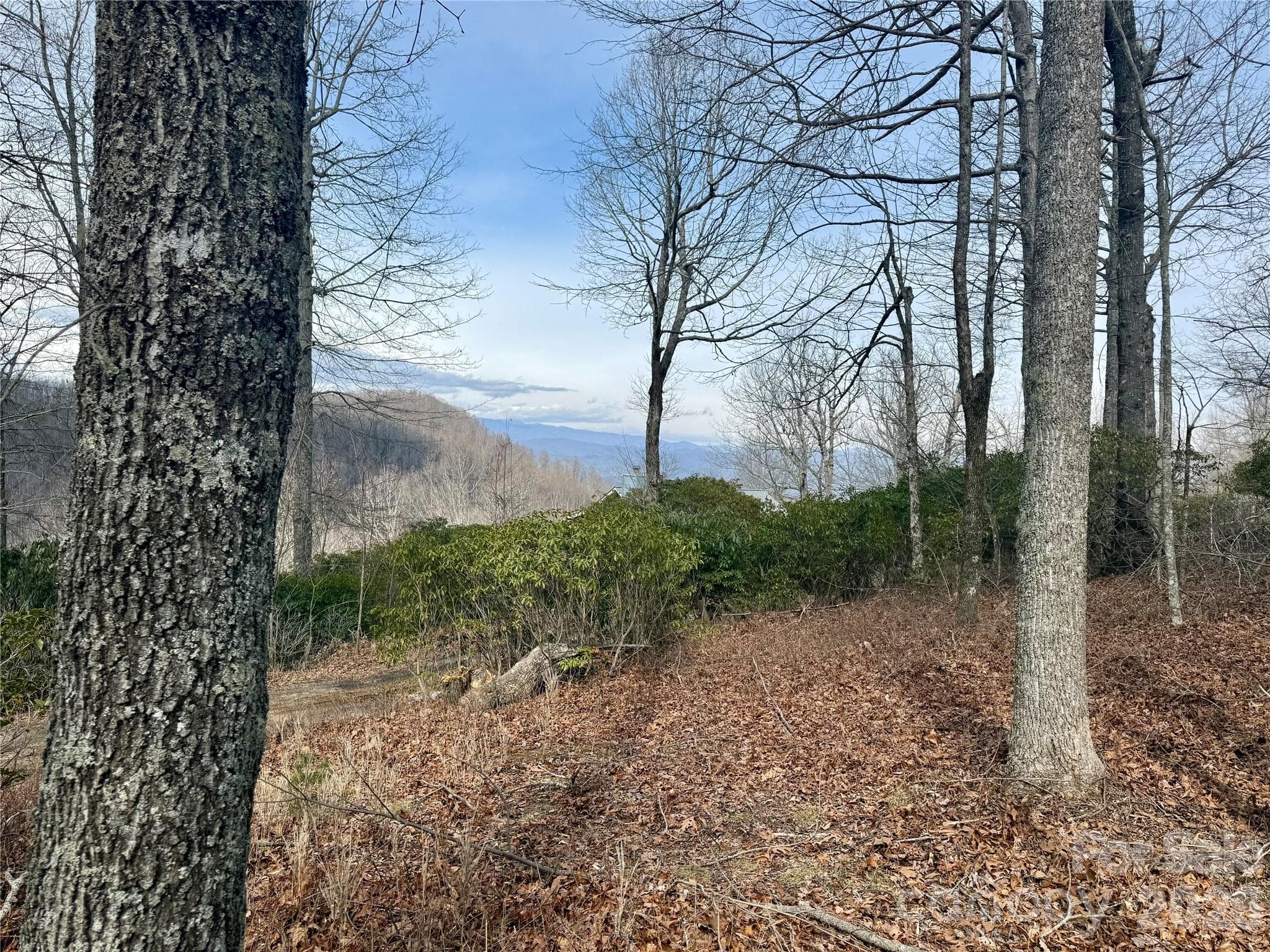 Lot at Lot 10 Joshua Road, Rosman, photo 23 of 38