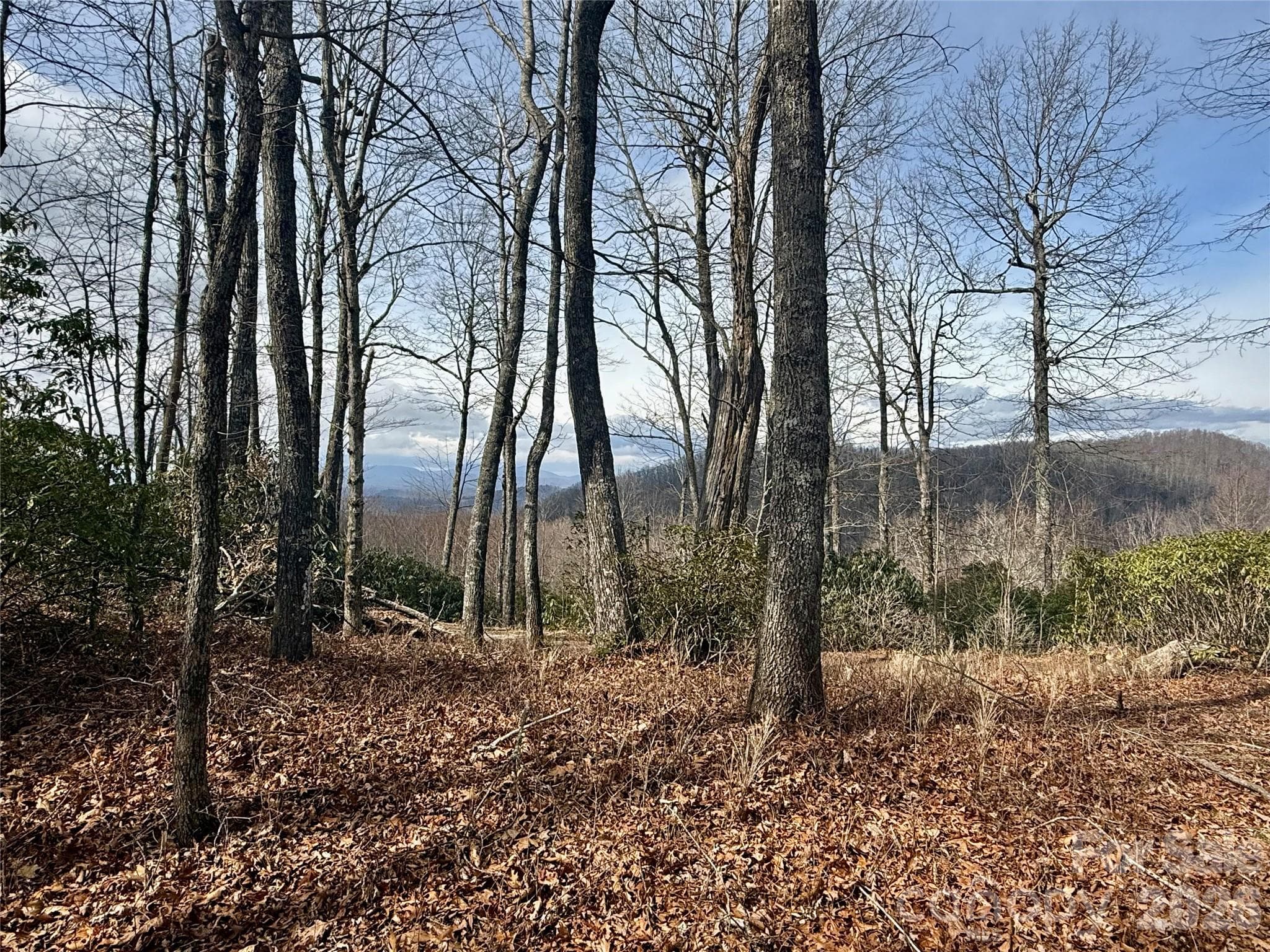 Lot at Lot 10 Joshua Road, Rosman, photo 25 of 38