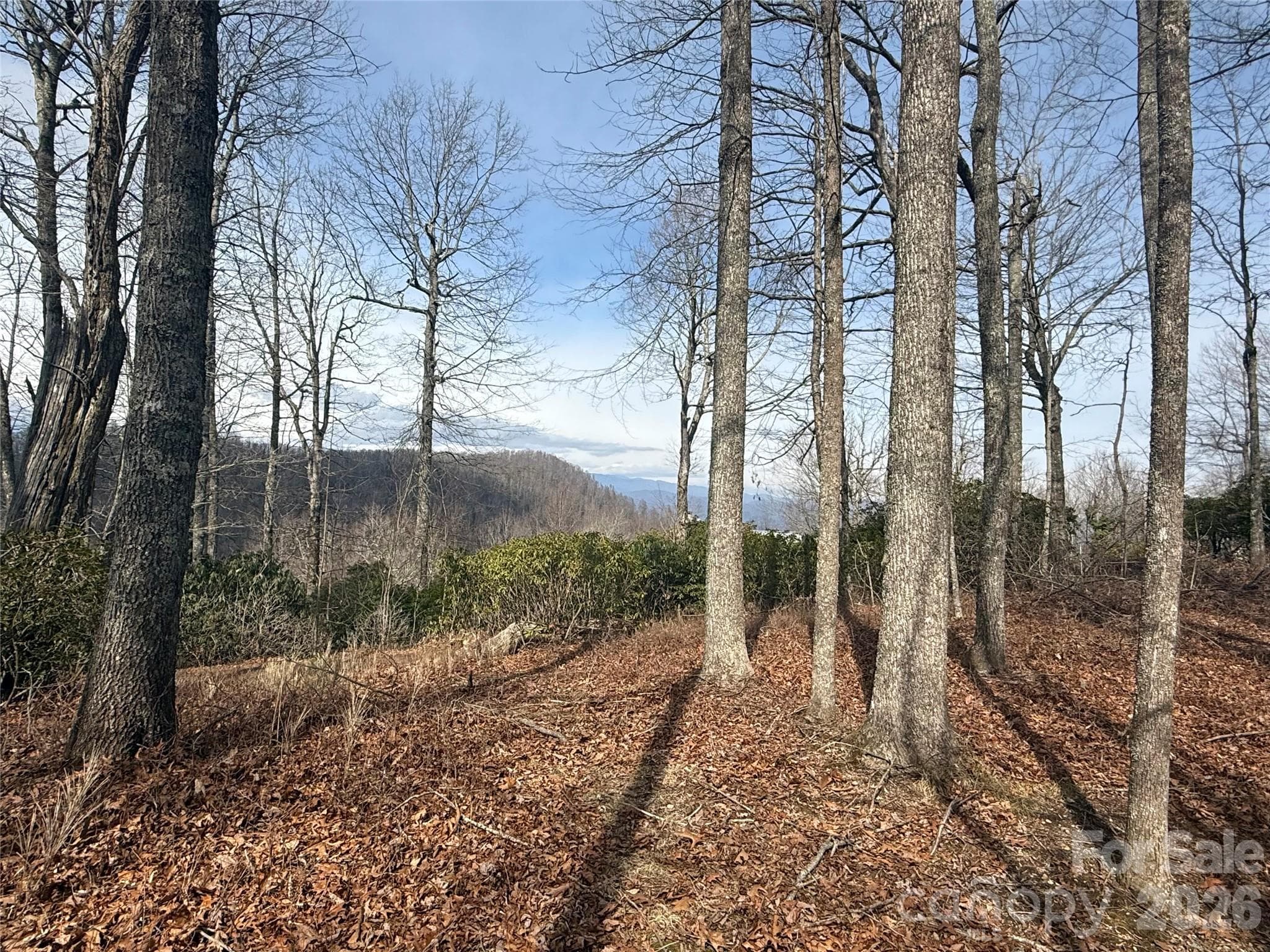 Lot at Lot 10 Joshua Road, Rosman, photo 26 of 38