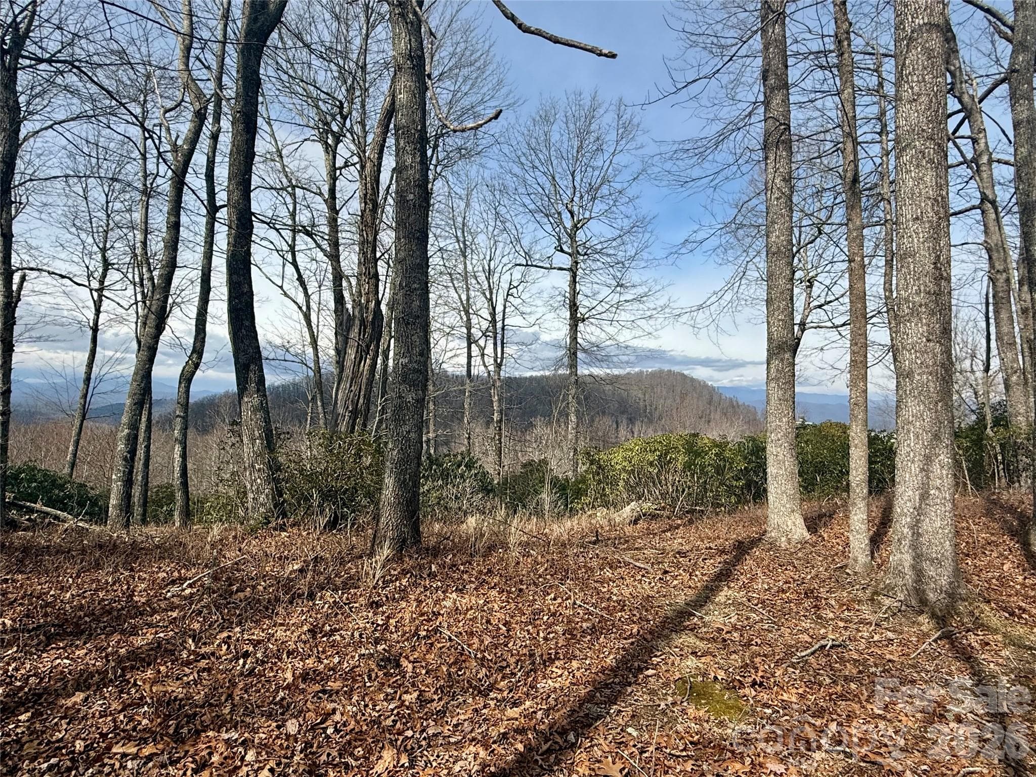 Lot at Lot 10 Joshua Road, Rosman, photo 27 of 38