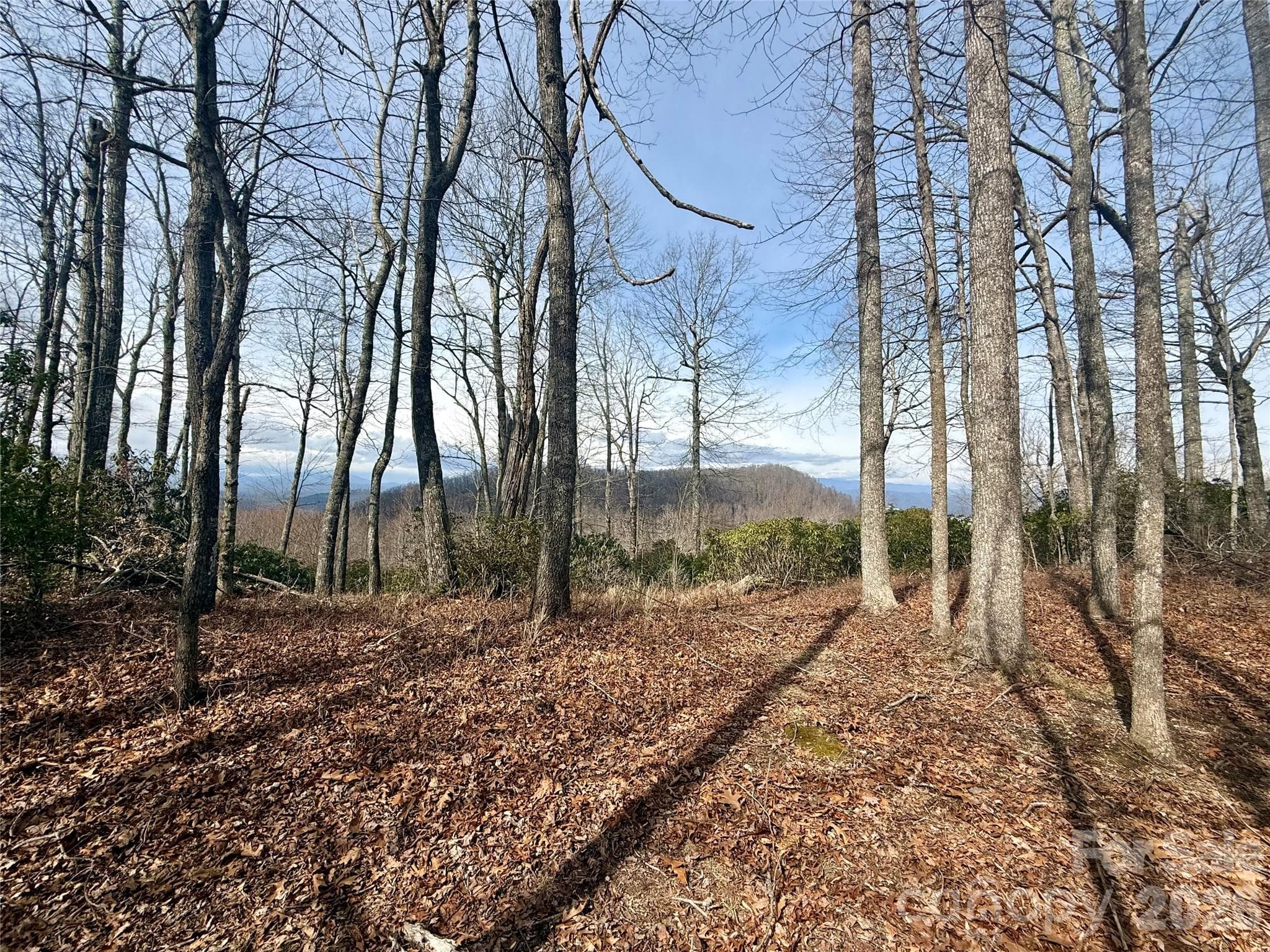 Lot at Lot 10 Joshua Road, Rosman, photo 28 of 38
