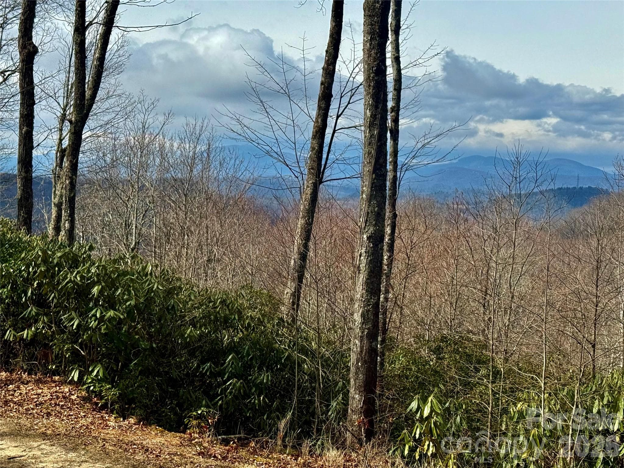 Lot at Lot 10 Joshua Road, Rosman, photo 35 of 38