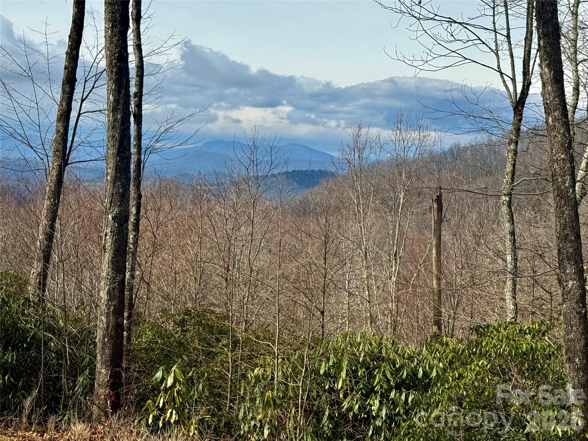 Lot at Lot 10 Joshua Road, Rosman, photo 36 of 38