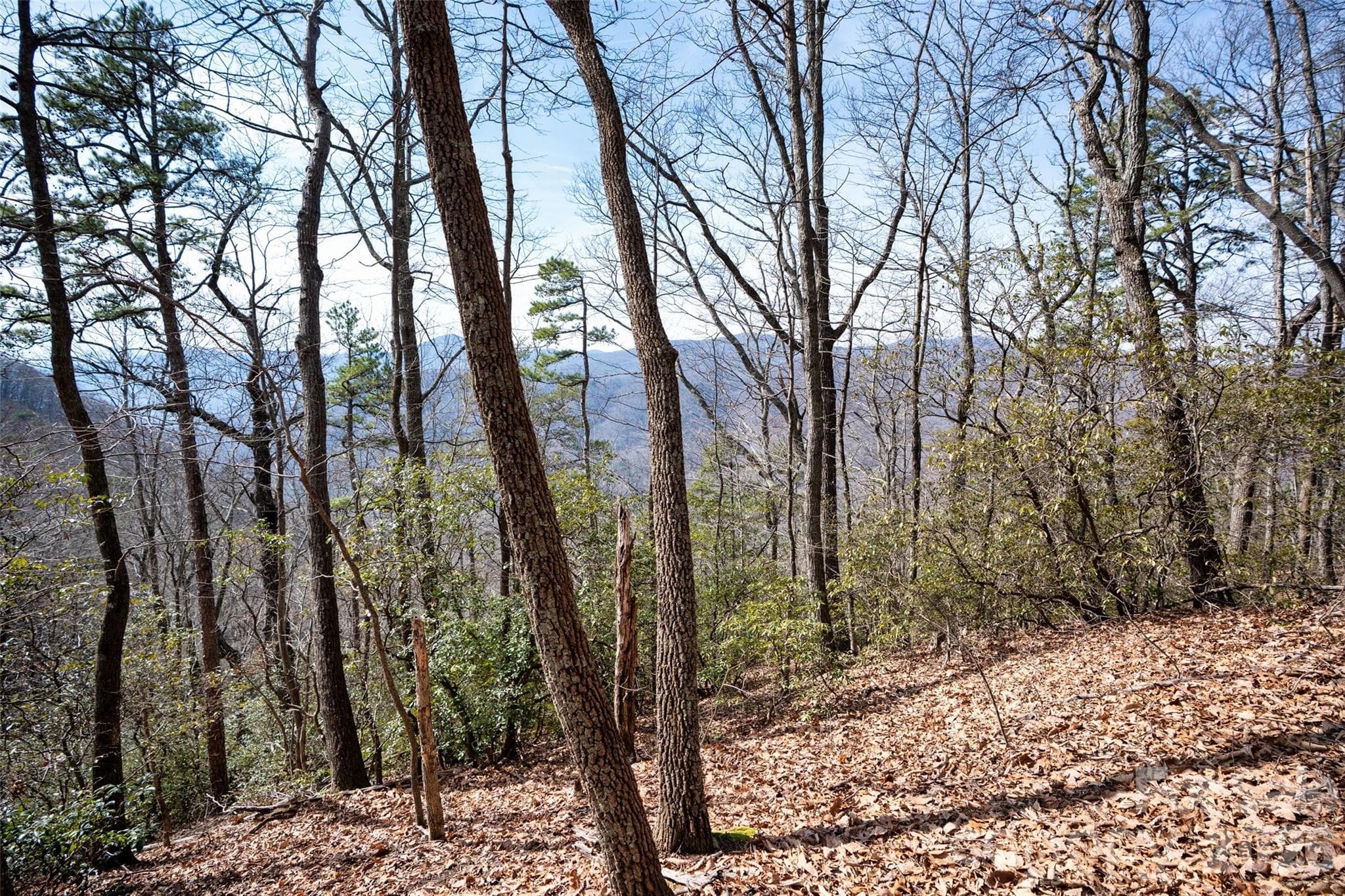 Lot at 0 Rachel Ridge, Lake Lure, photo 18 of 24