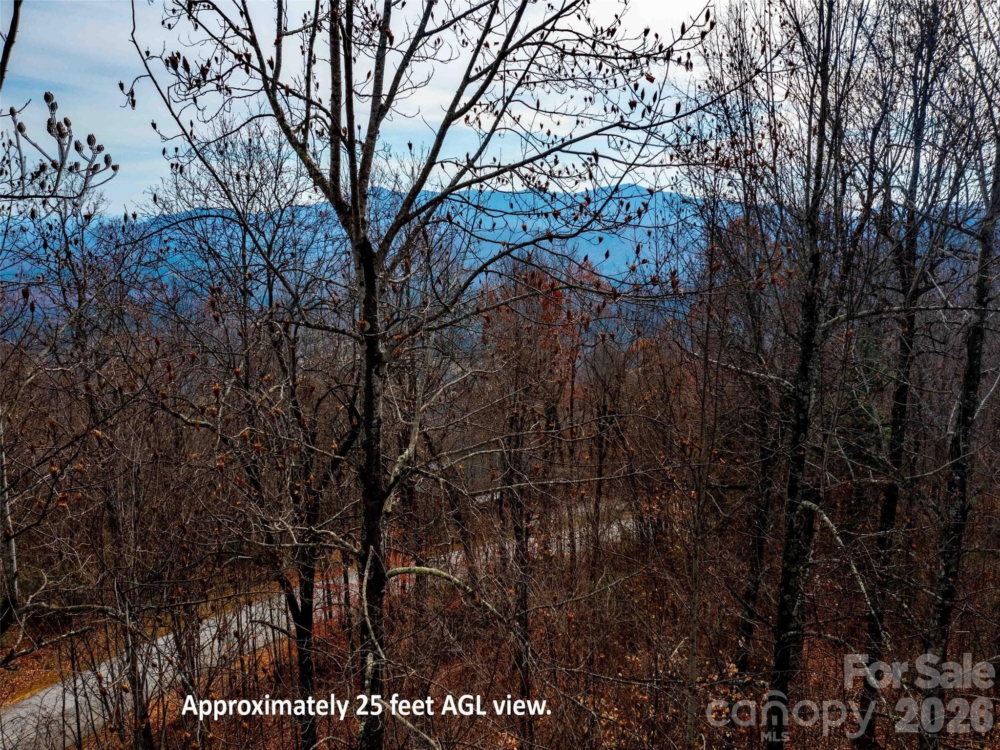 Lot at Mill Spring, photo 2 of 23