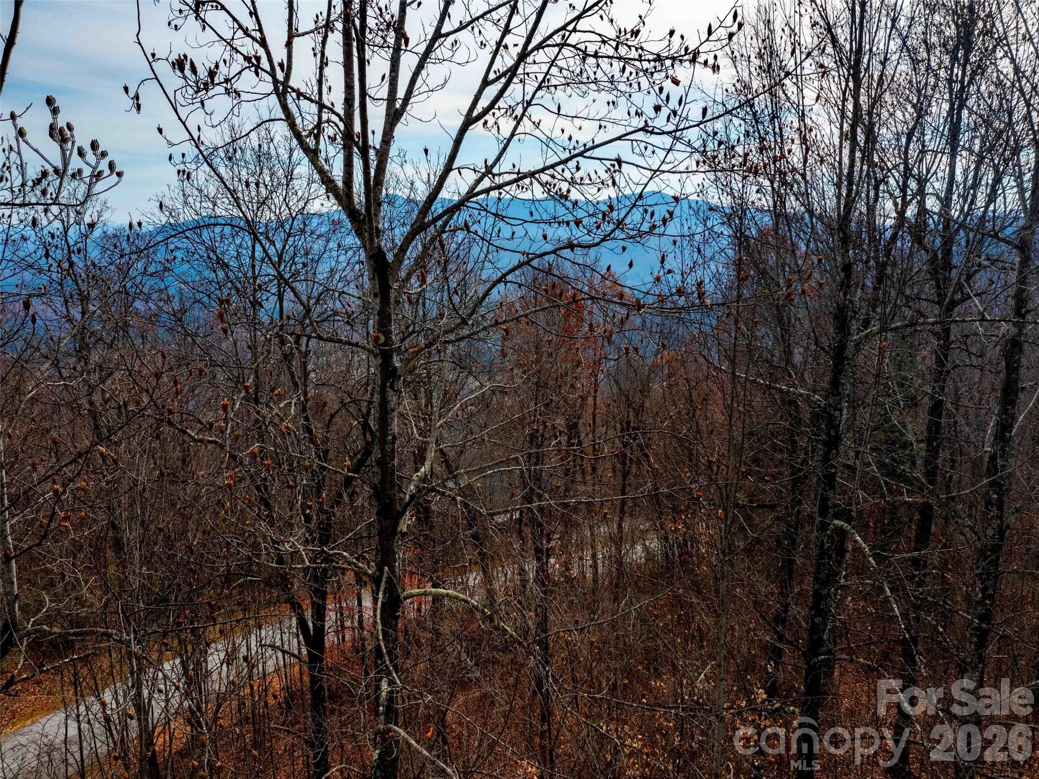 Lot at Mill Spring, photo 3 of 23