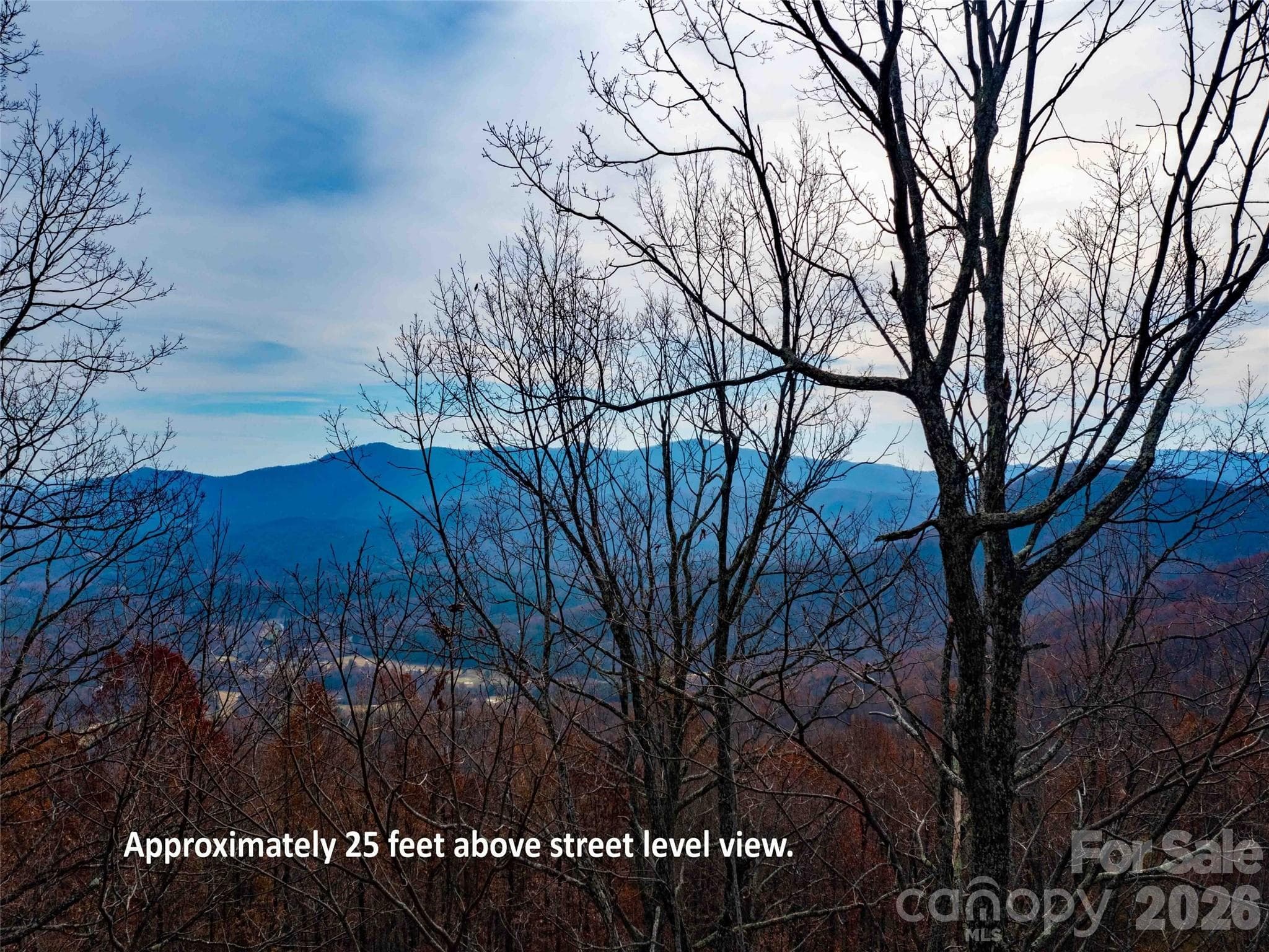 Lot at Mill Spring, photo 8 of 23