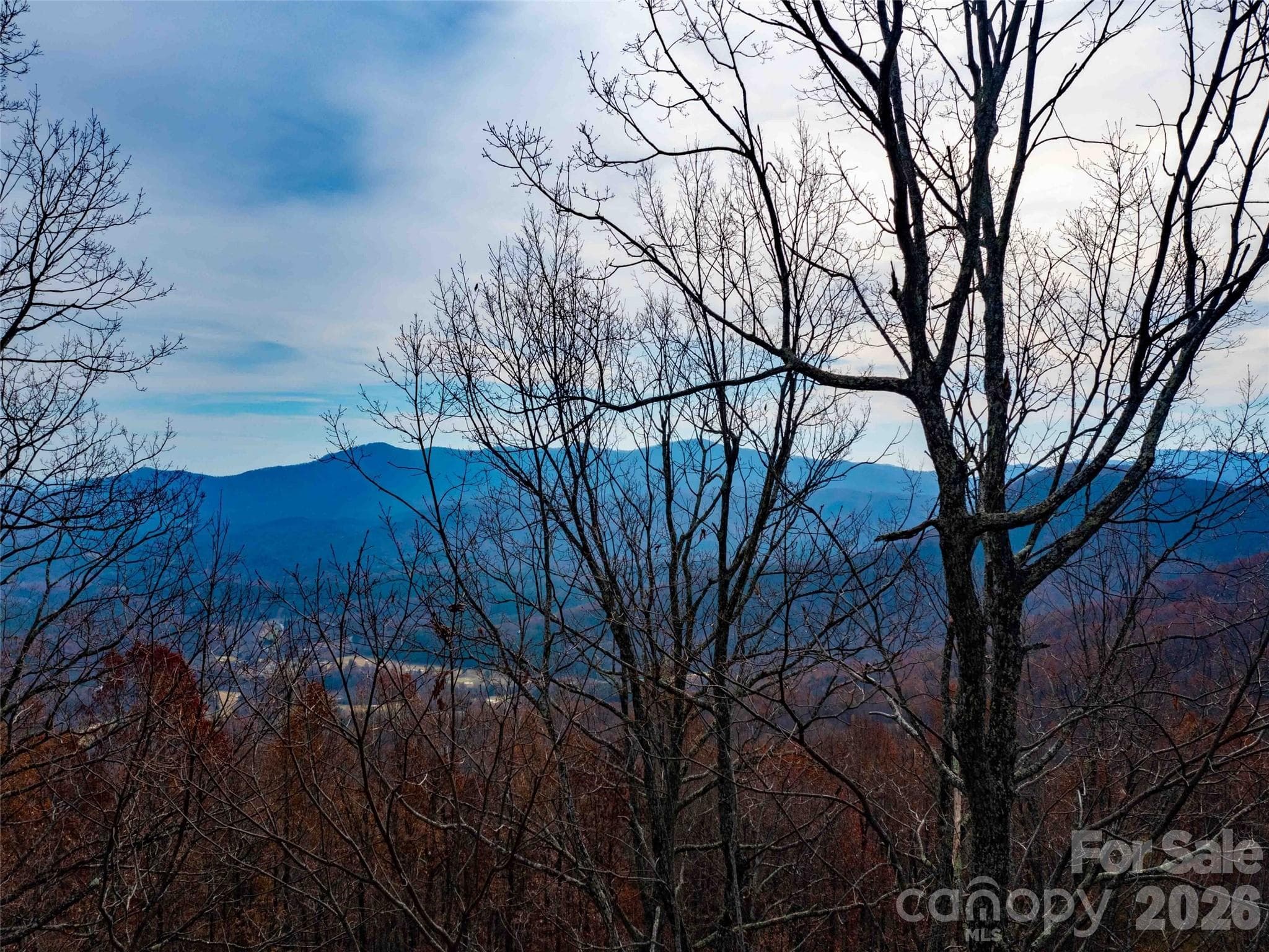 Lot at Mill Spring, photo 9 of 23