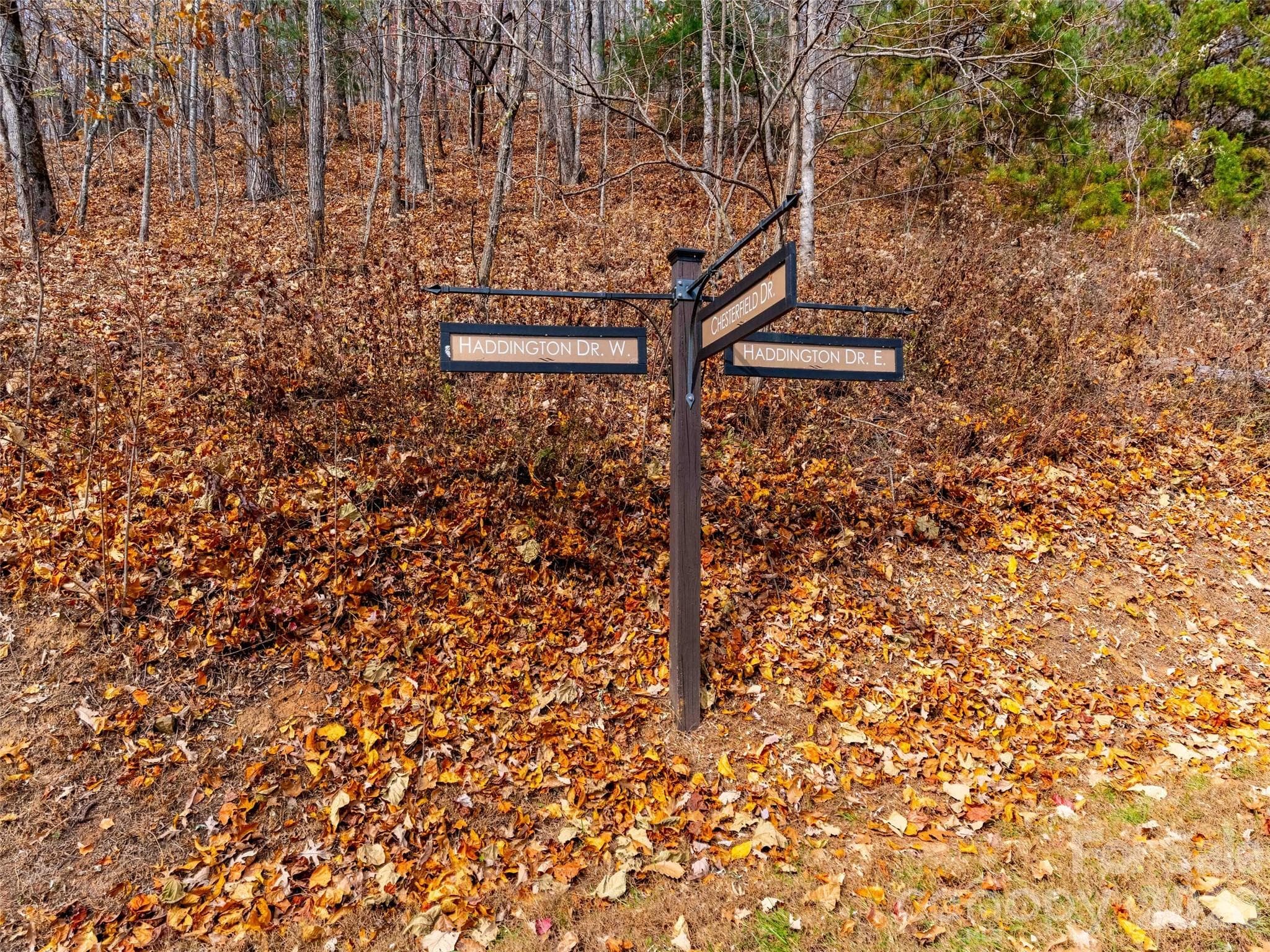Lot at Mill Spring, photo 12 of 23