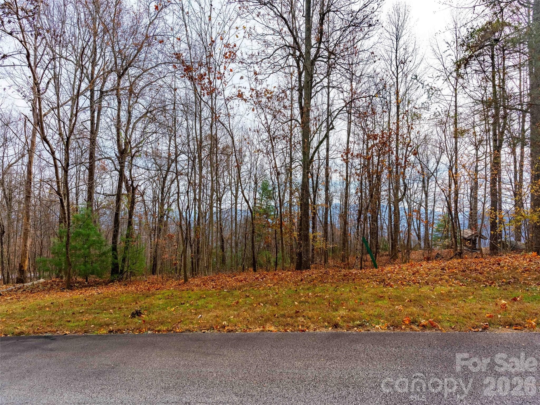 Lot at Mill Spring, photo 14 of 23