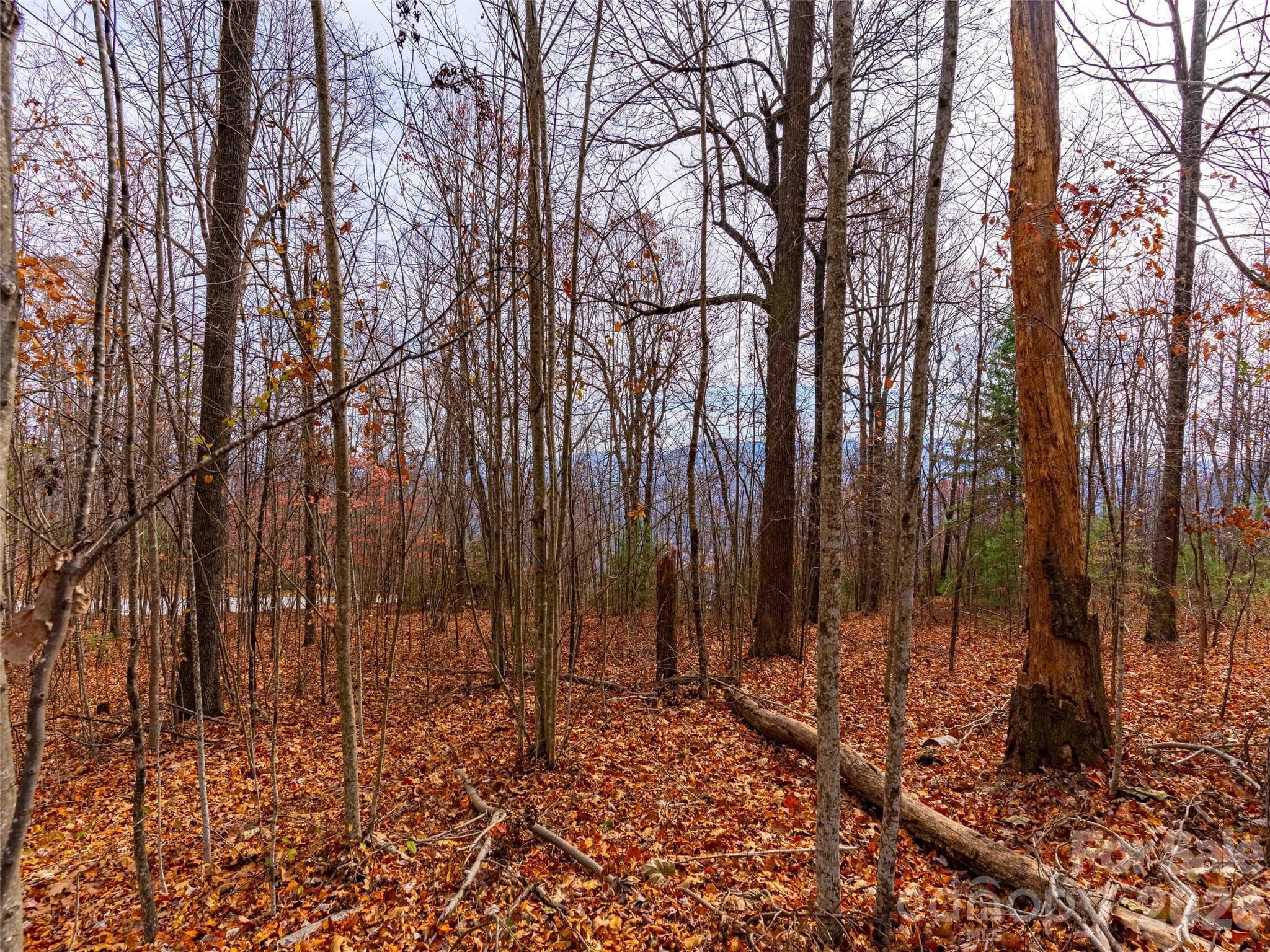 Lot at Mill Spring, photo 15 of 23