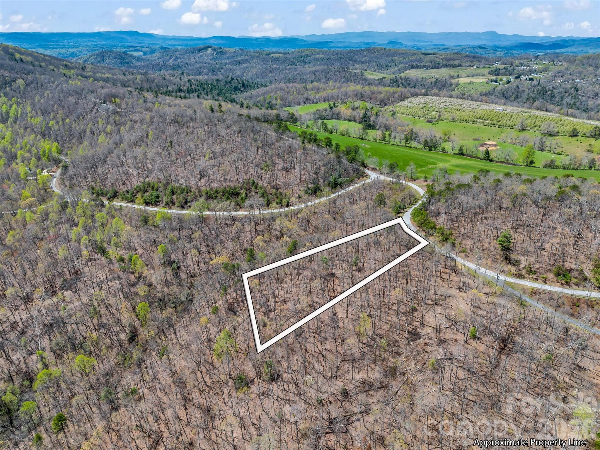 Lot at Mill Spring, photo 3 of 34