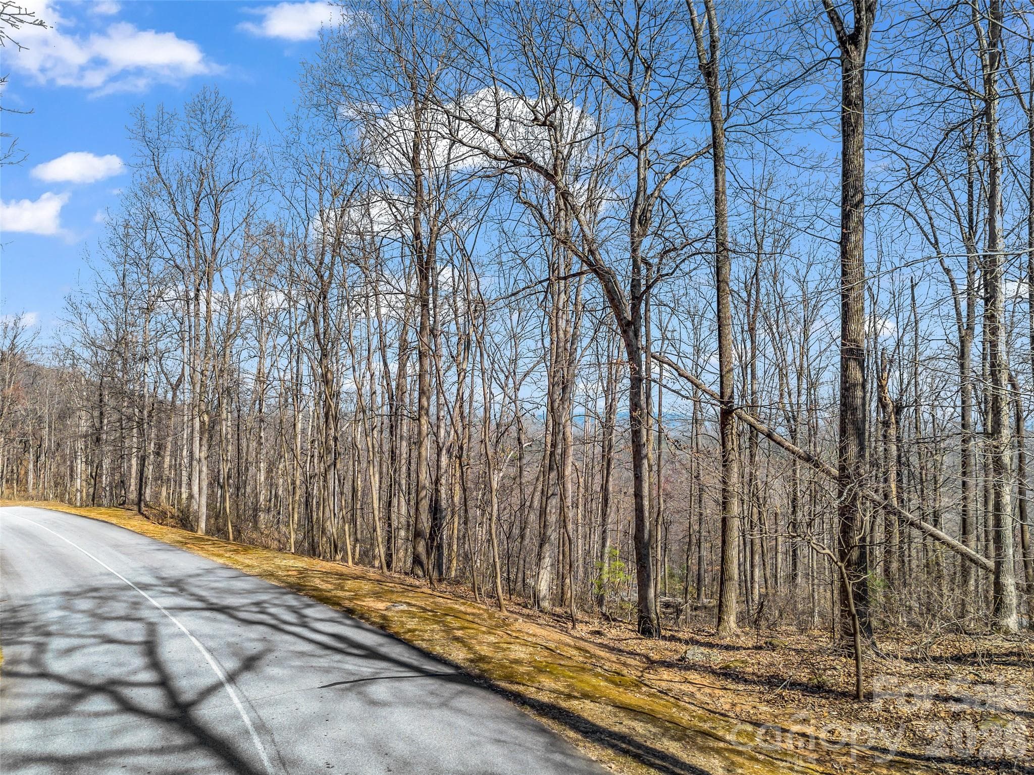 Lot at Mill Spring, photo 5 of 35