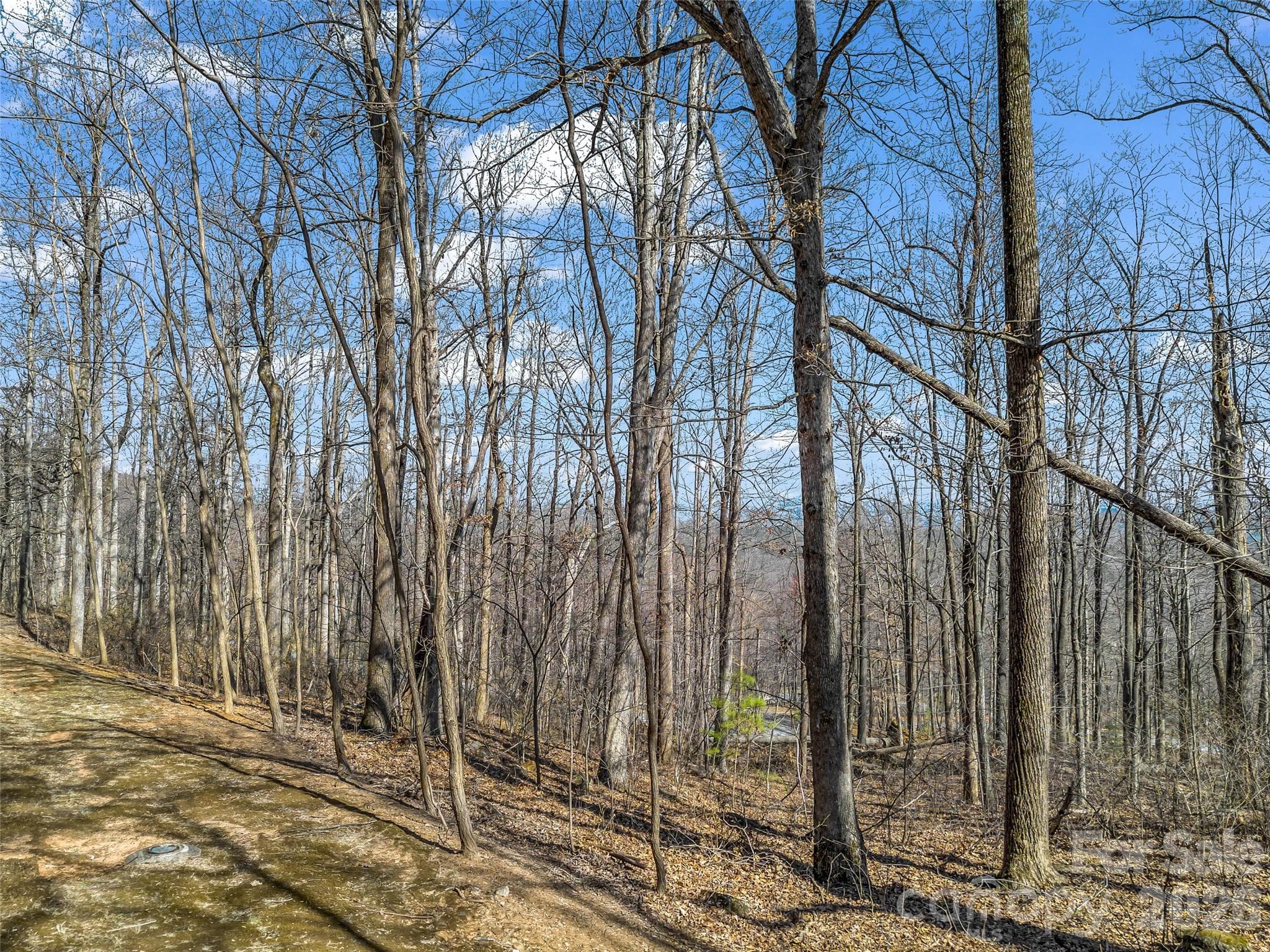Lot at Mill Spring, photo 6 of 35