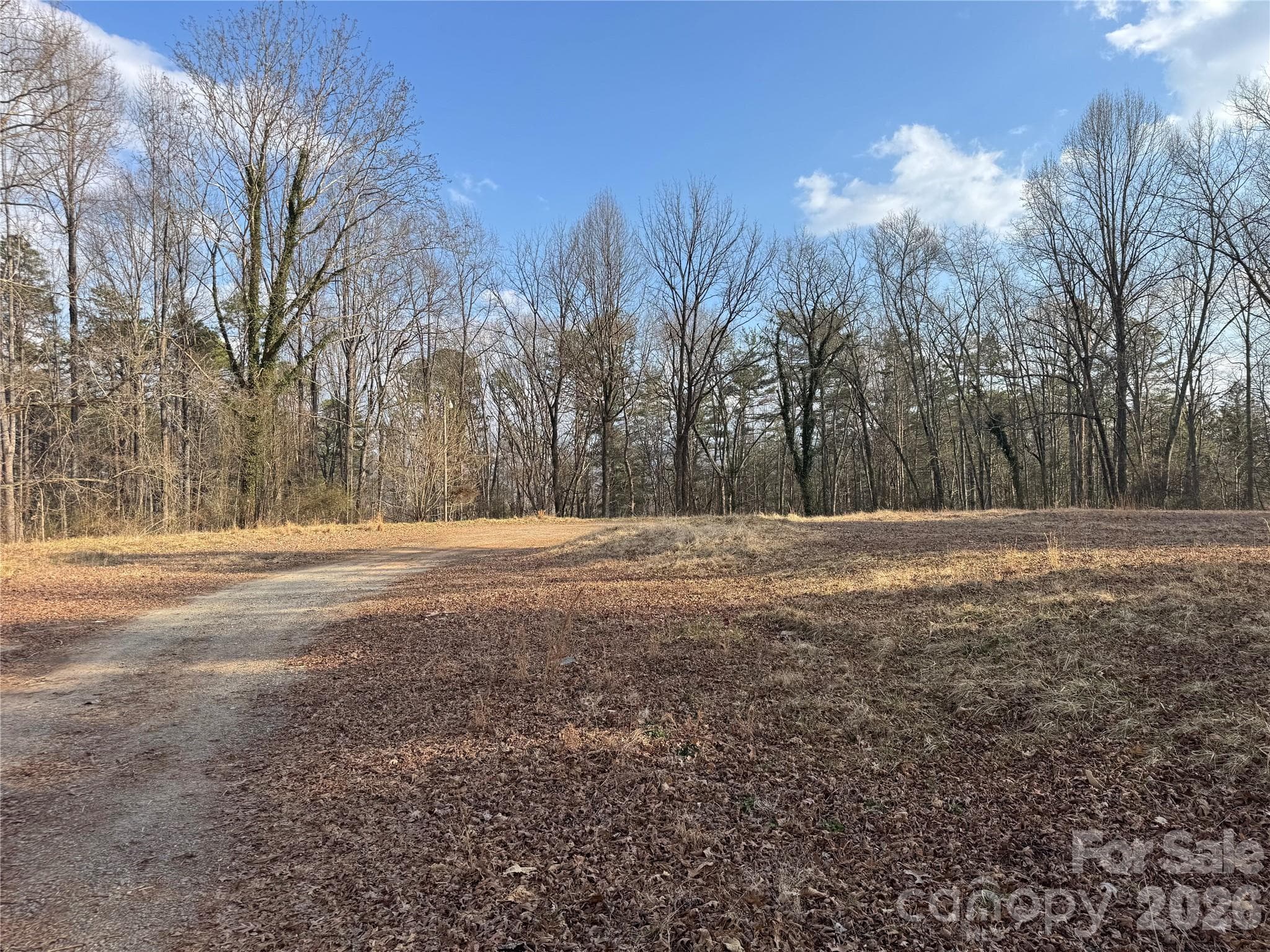 Acreage at Brevard, photo 2 of 16