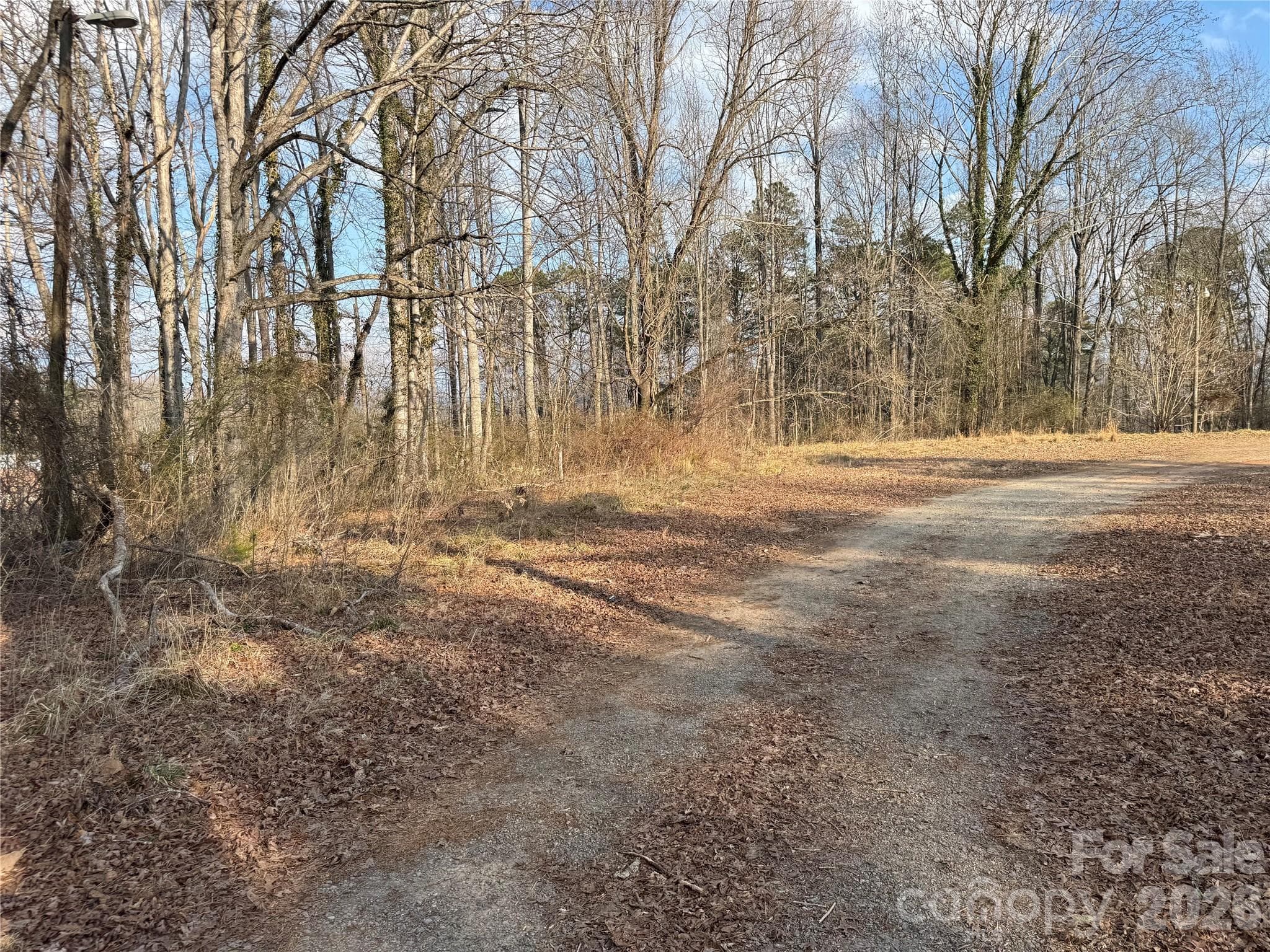 Acreage at Brevard, photo 3 of 16