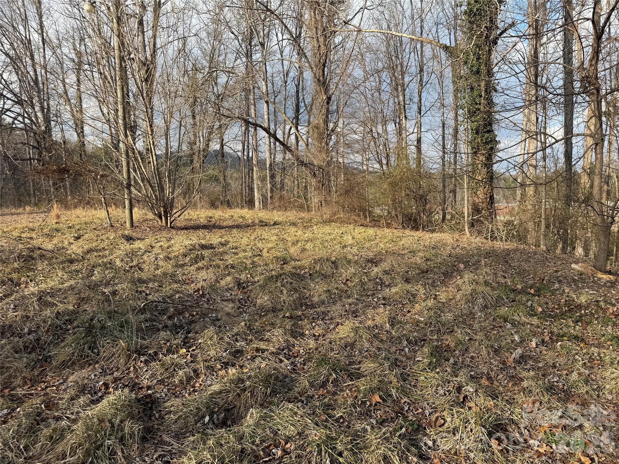 Acreage at Brevard, photo 6 of 16