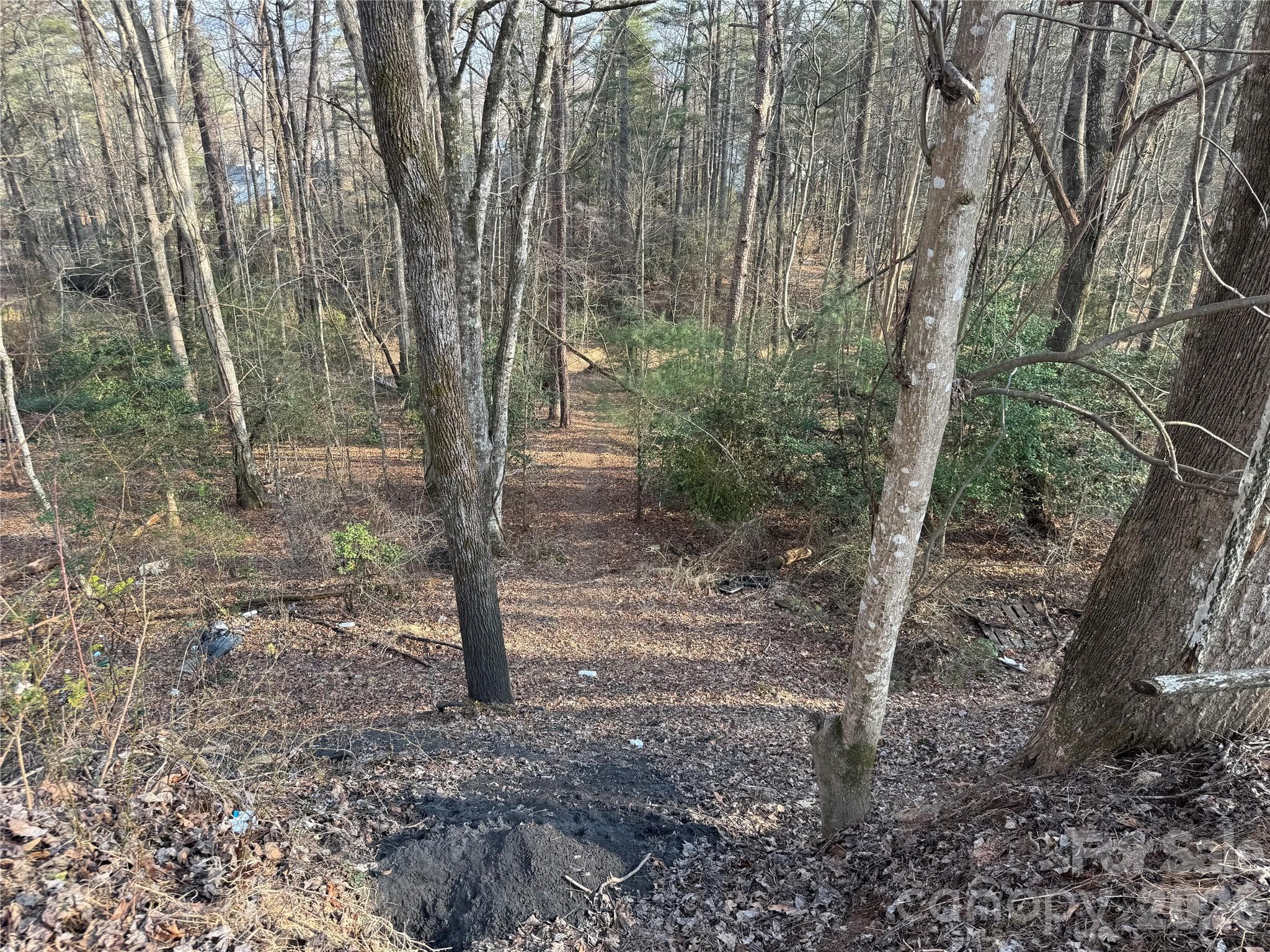 Acreage at Brevard, photo 7 of 16