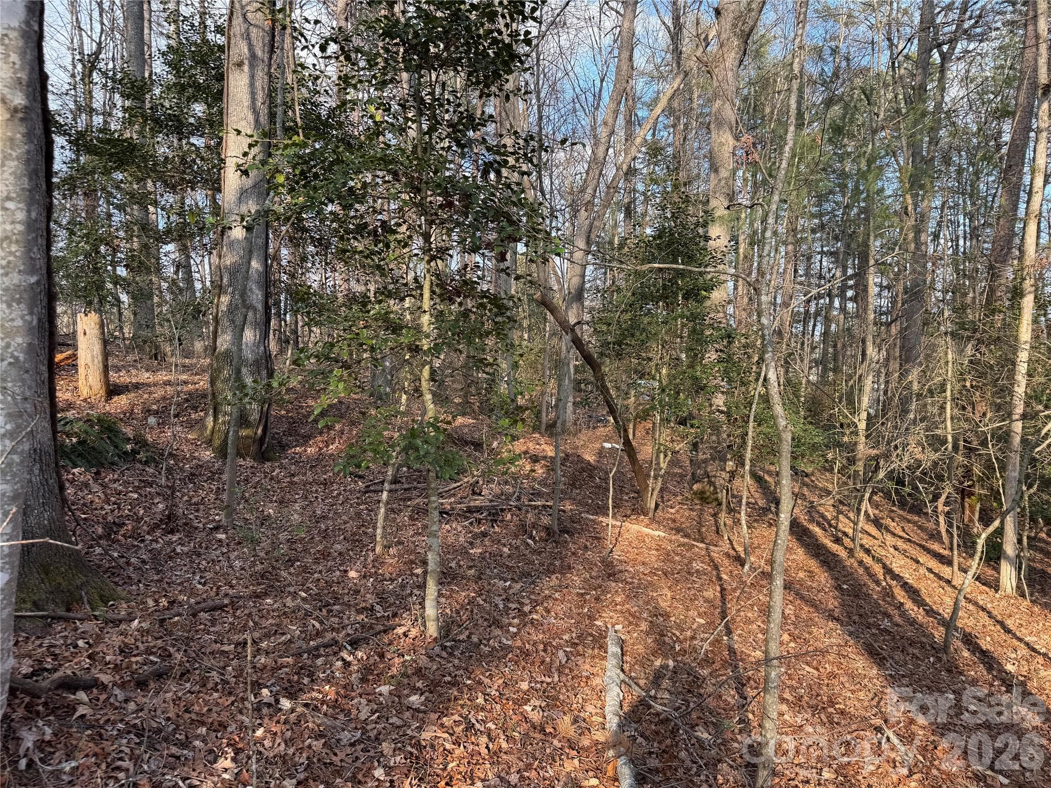 Acreage at Brevard, photo 8 of 16
