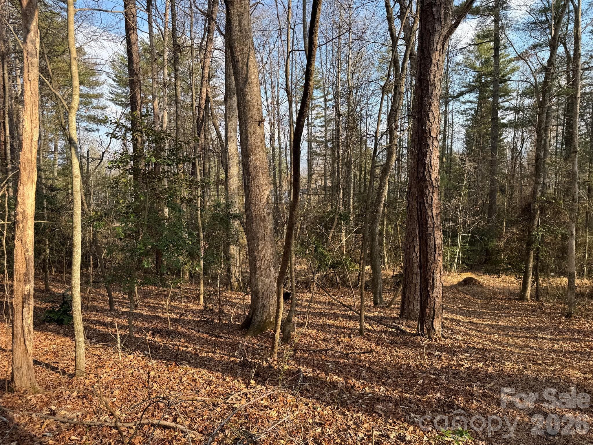 Acreage at Brevard, photo 9 of 16