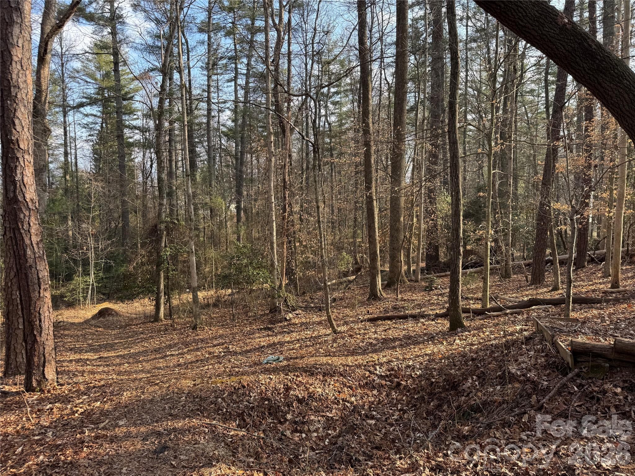 Acreage at Brevard, photo 10 of 16