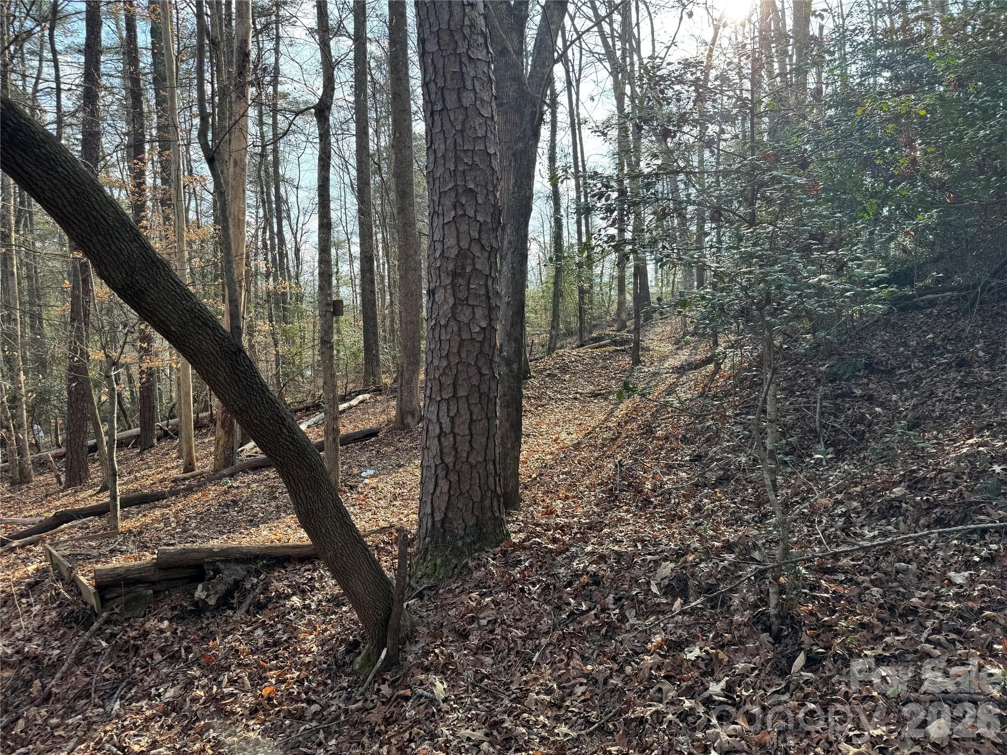 Acreage at Brevard, photo 11 of 16