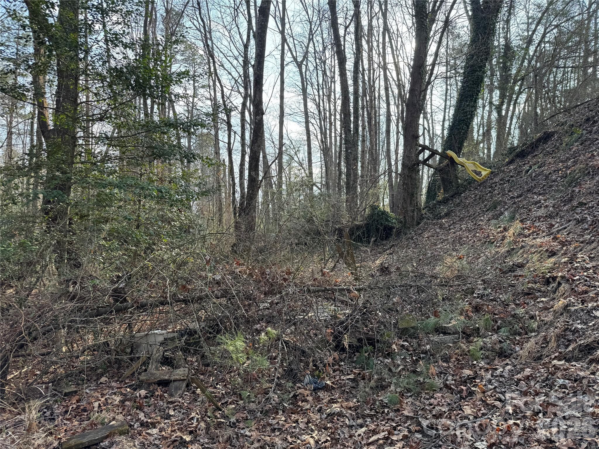 Acreage at Brevard, photo 12 of 16