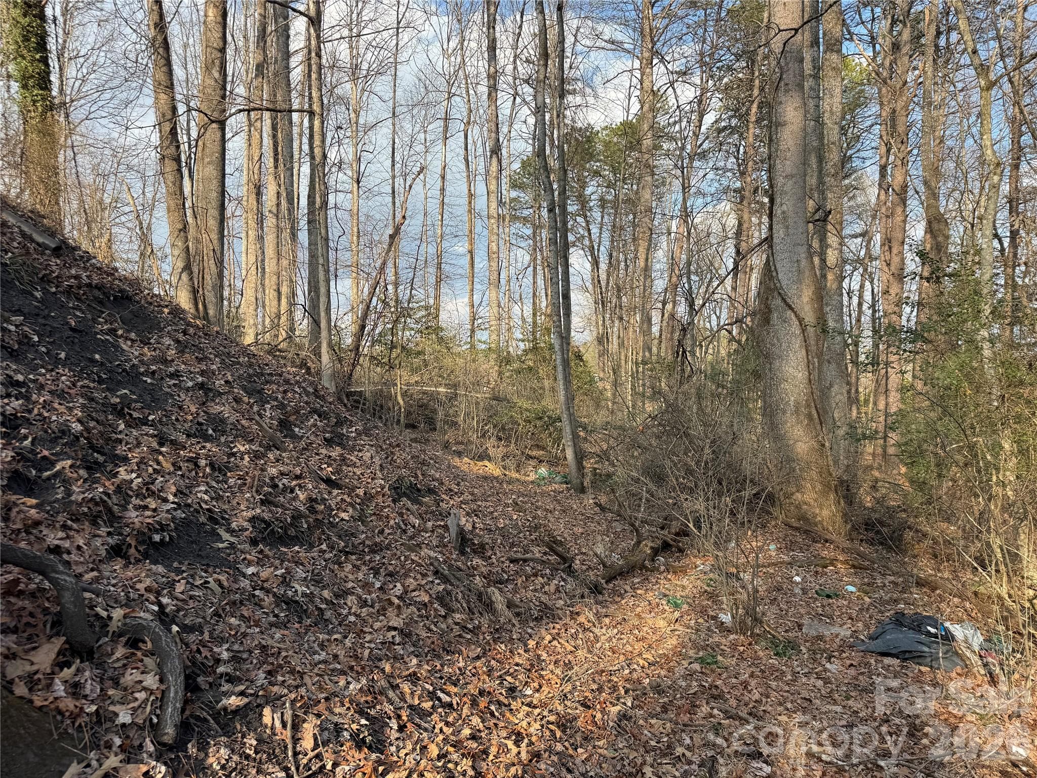 Acreage at Brevard, photo 13 of 16