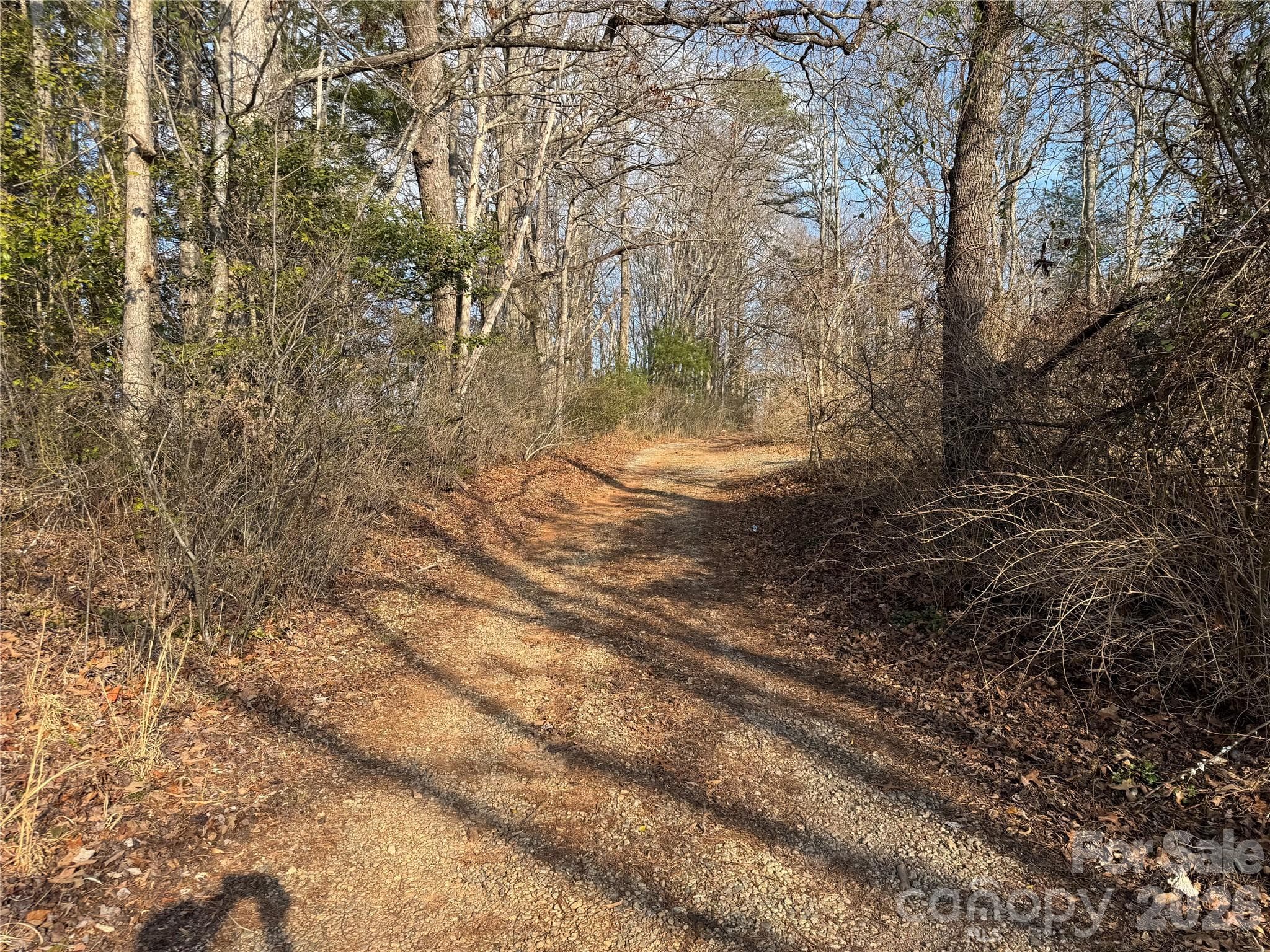 Acreage at Brevard, photo 14 of 16