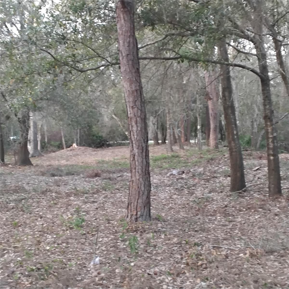 Land at ALTURAS BABSON PARK CUTOFF RD, BARTOW, photo 7 of 14