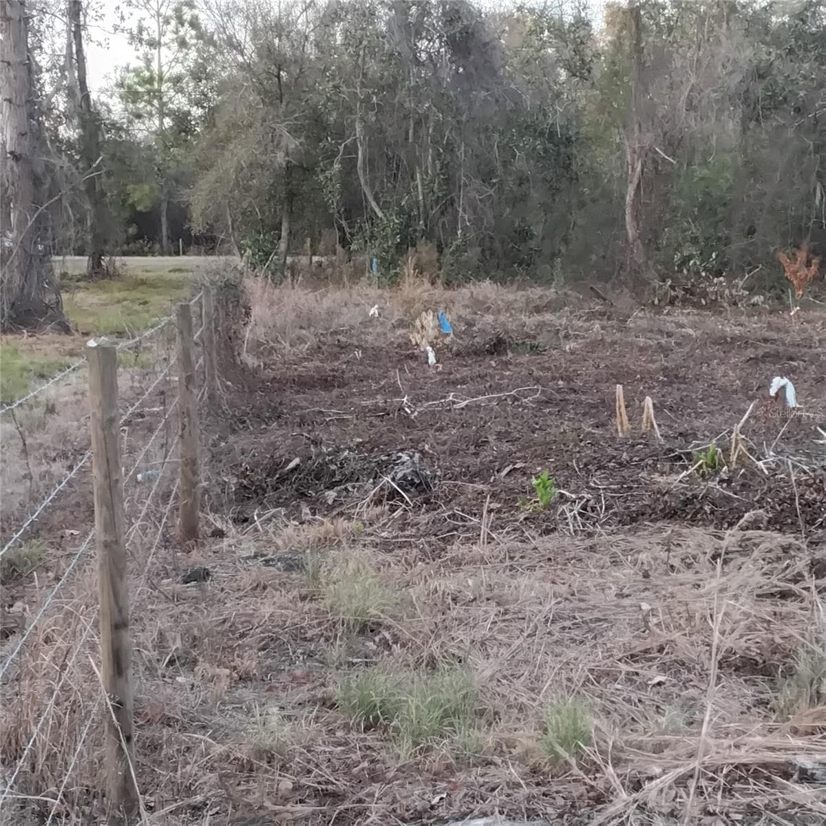 Land at ALTURAS BABSON PARK CUTOFF RD, BARTOW, photo 11 of 14