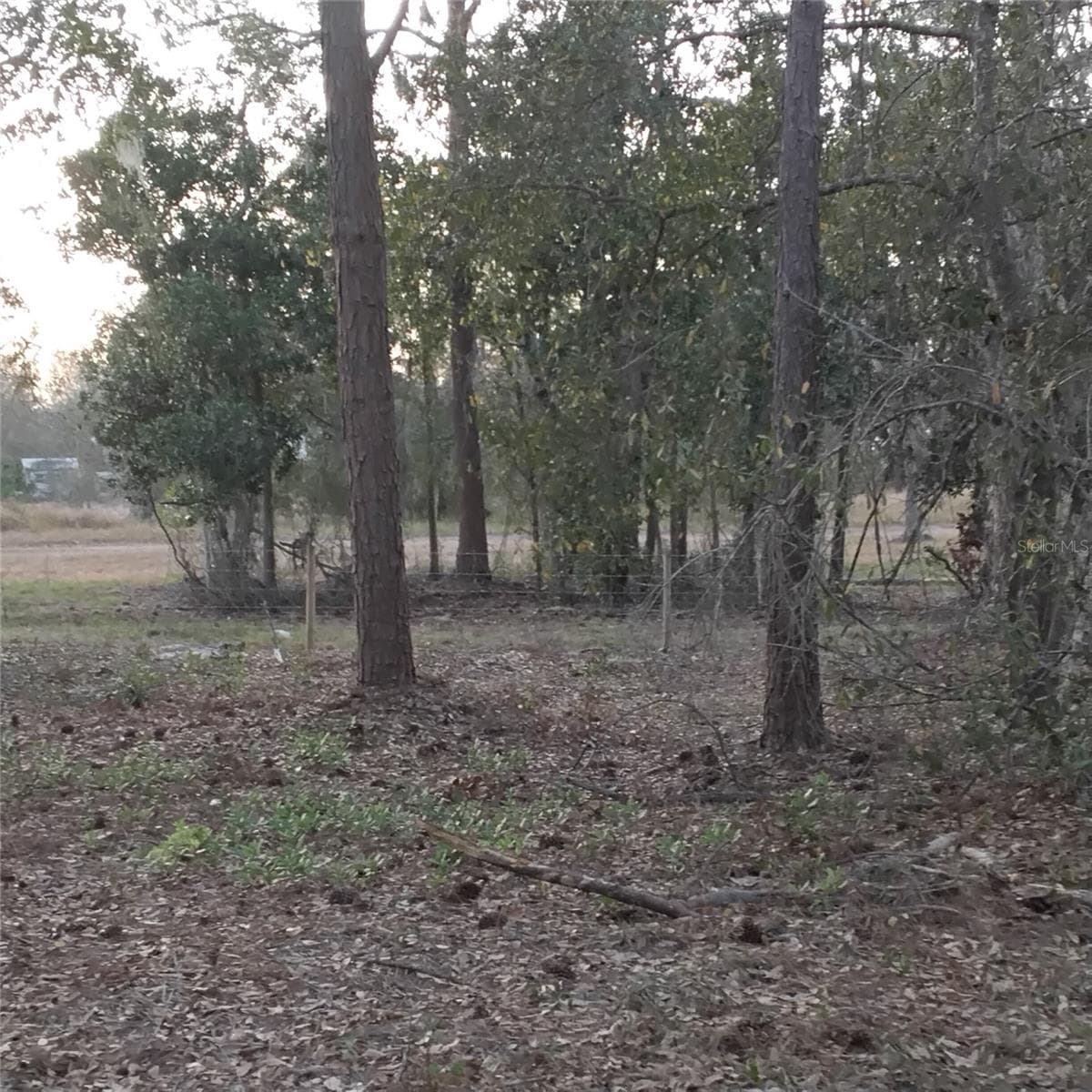 Land at ALTURAS BABSON PARK CUTOFF RD, BARTOW, photo 12 of 14