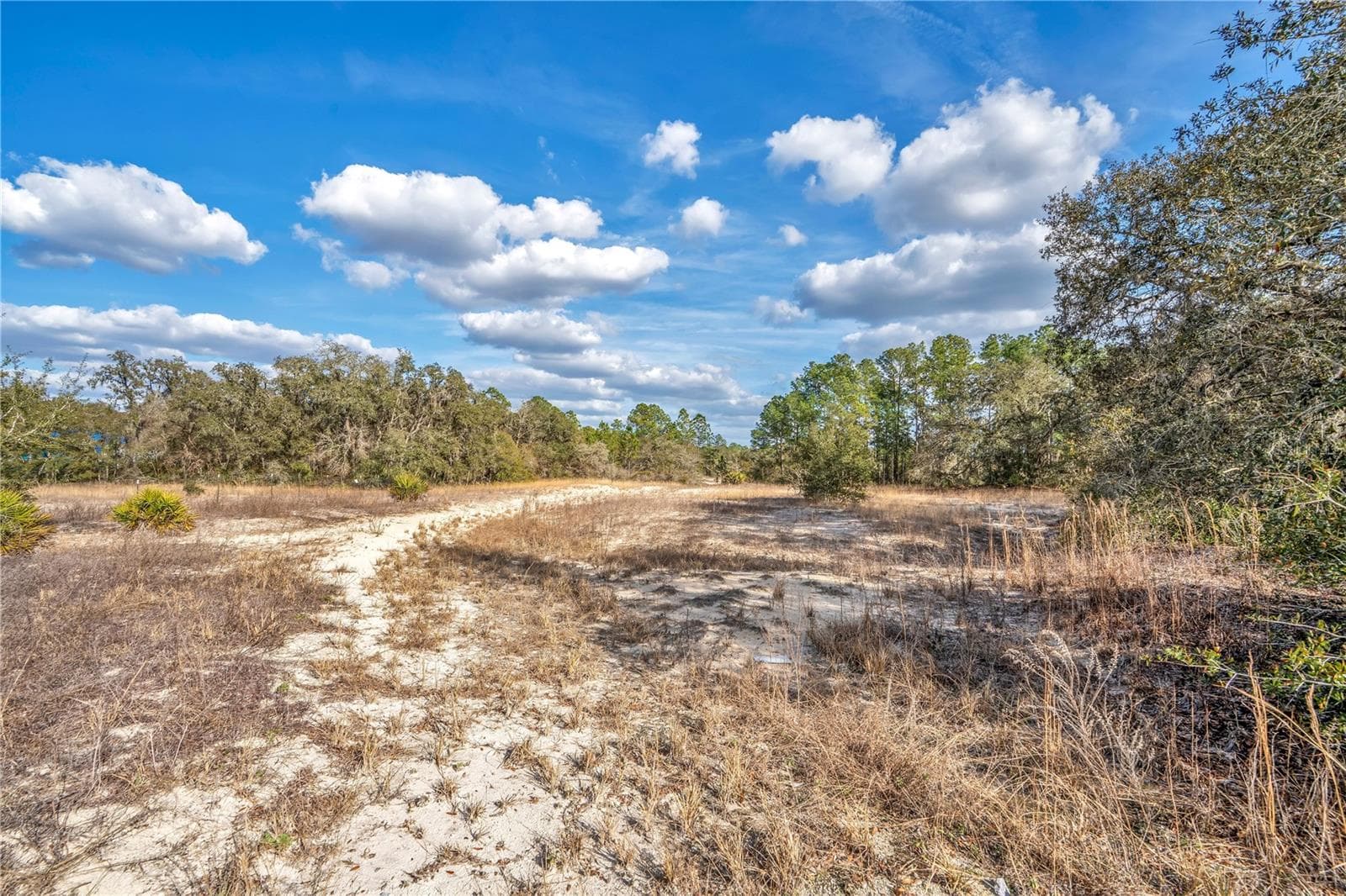 Land at GOODSTONE DR, WEBSTER, photo 6 of 20