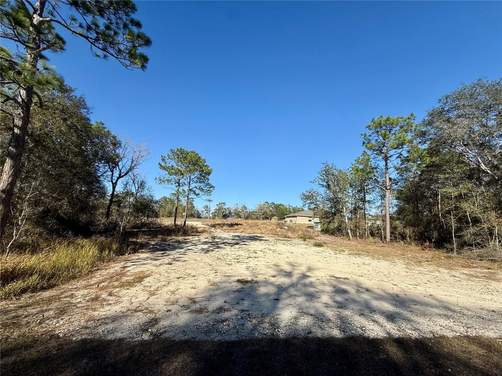 Land at 47 BAHIA COURT TRAK, OCALA, photo 2 of 2