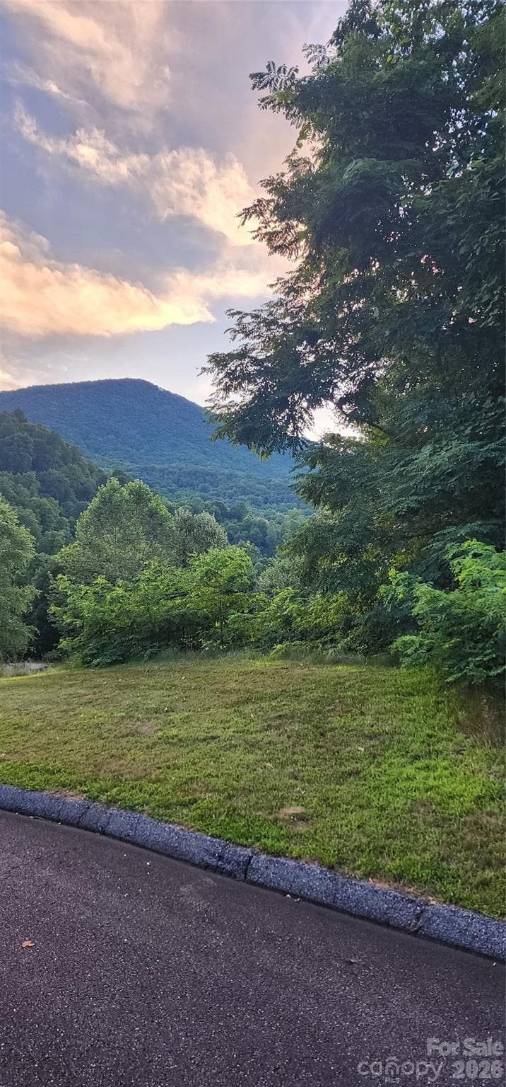 Lot at Waynesville, photo 2 of 18