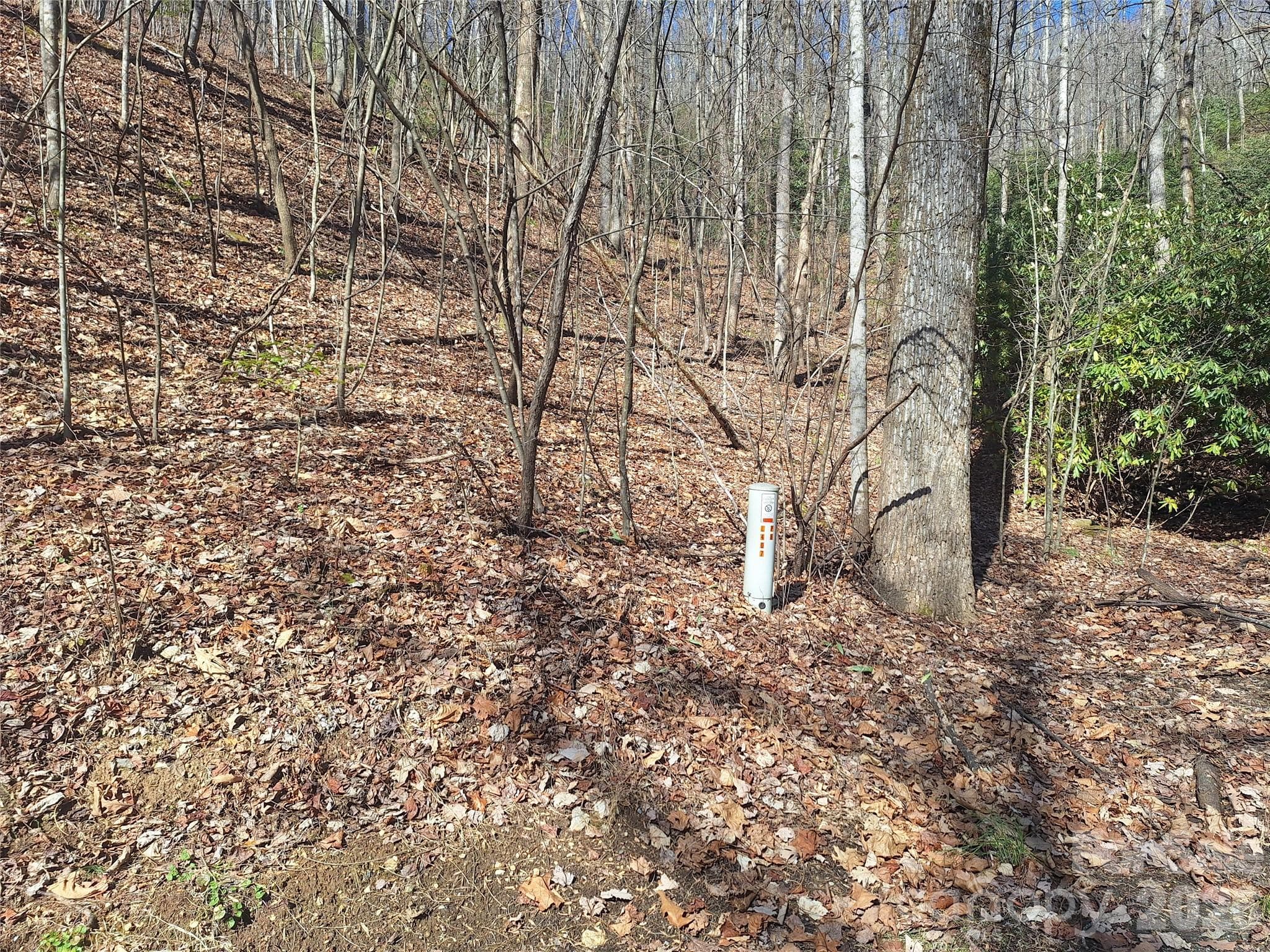 Lot at 965 Wolf Pen Road, Old Fort, photo 10 of 30