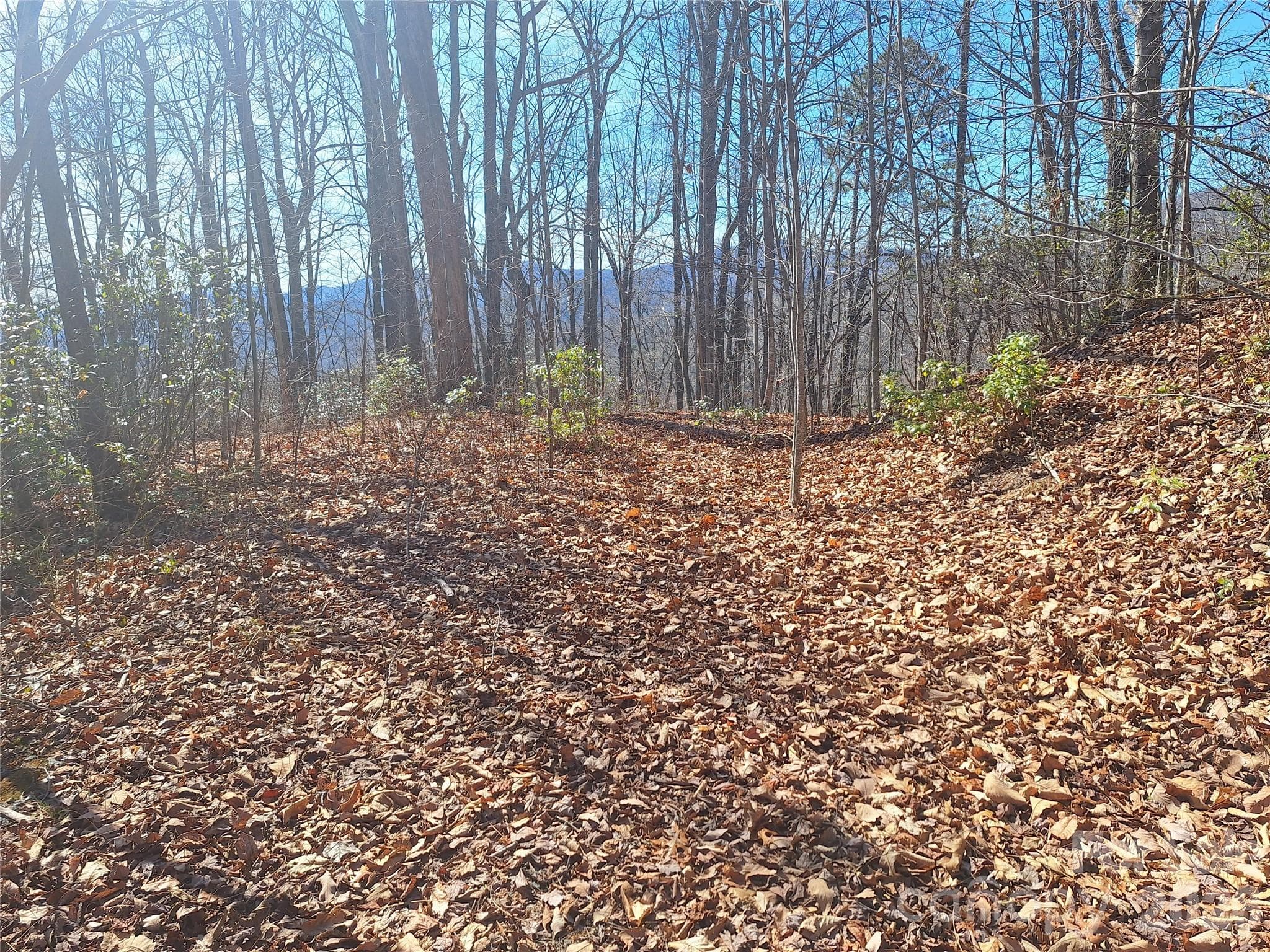 Lot at Old Fort, photo 2 of 26